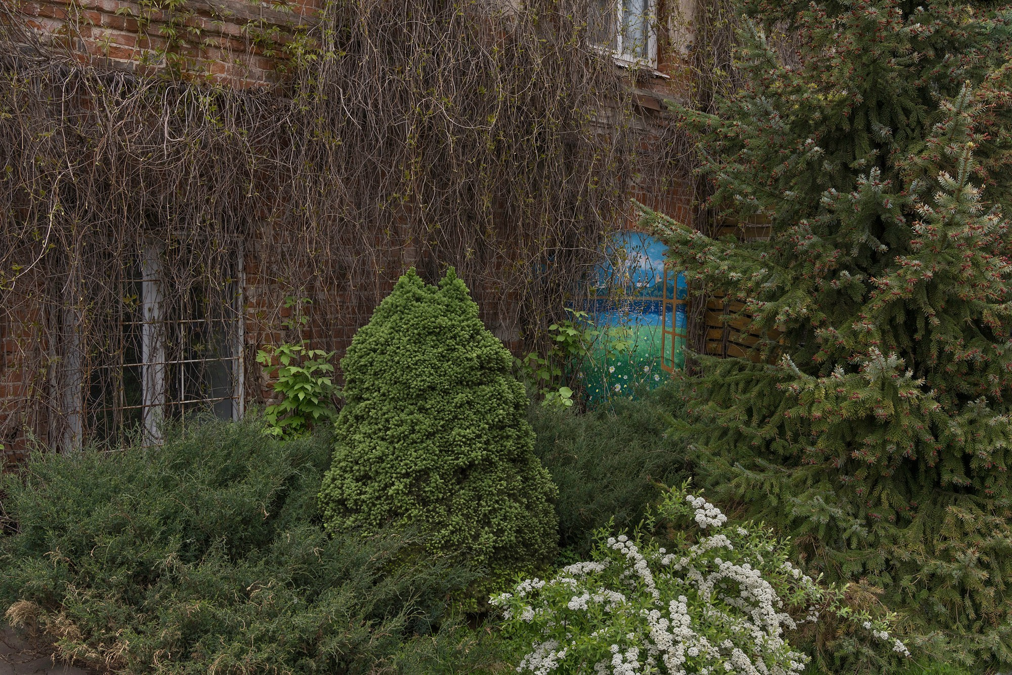 Interregnum. Вита Строганова