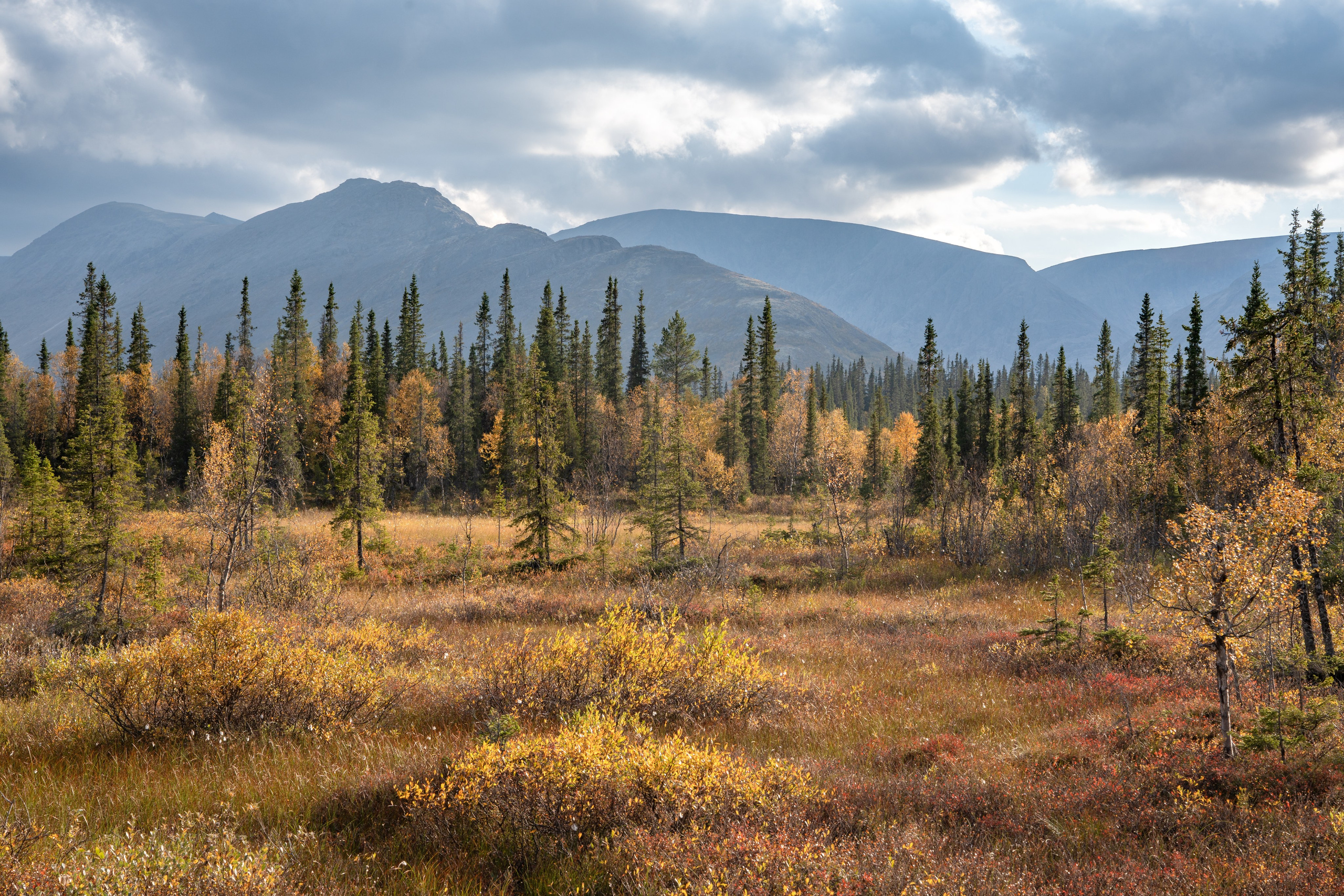 Пейзаж от Ольги Пановой. Интерьерный и архитектурный фотограф в Москве Панова Ольга