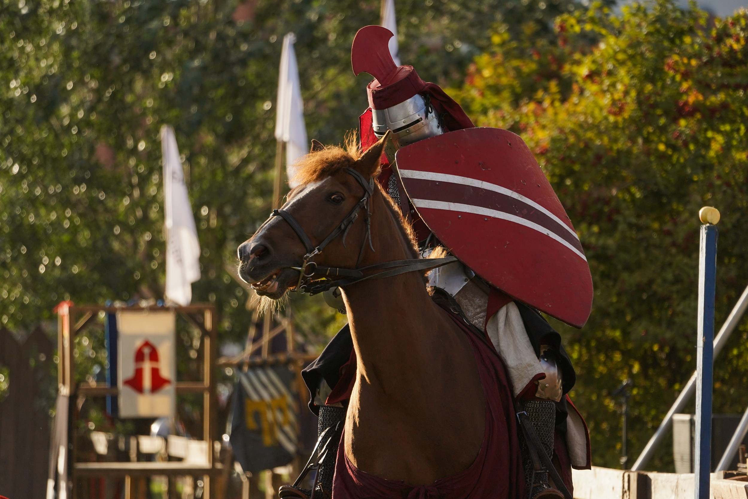 Рыцарский турнир в рамках фестиваля «Битва на Неве» Санкт-Петербург 2024 г. Фотограф-анималист, портретный фотограф в Чебоксарах Мария Садыкова