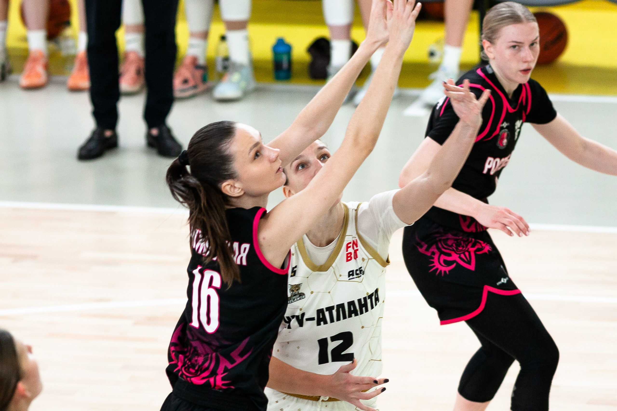 Патшалах университечэ. Фотография