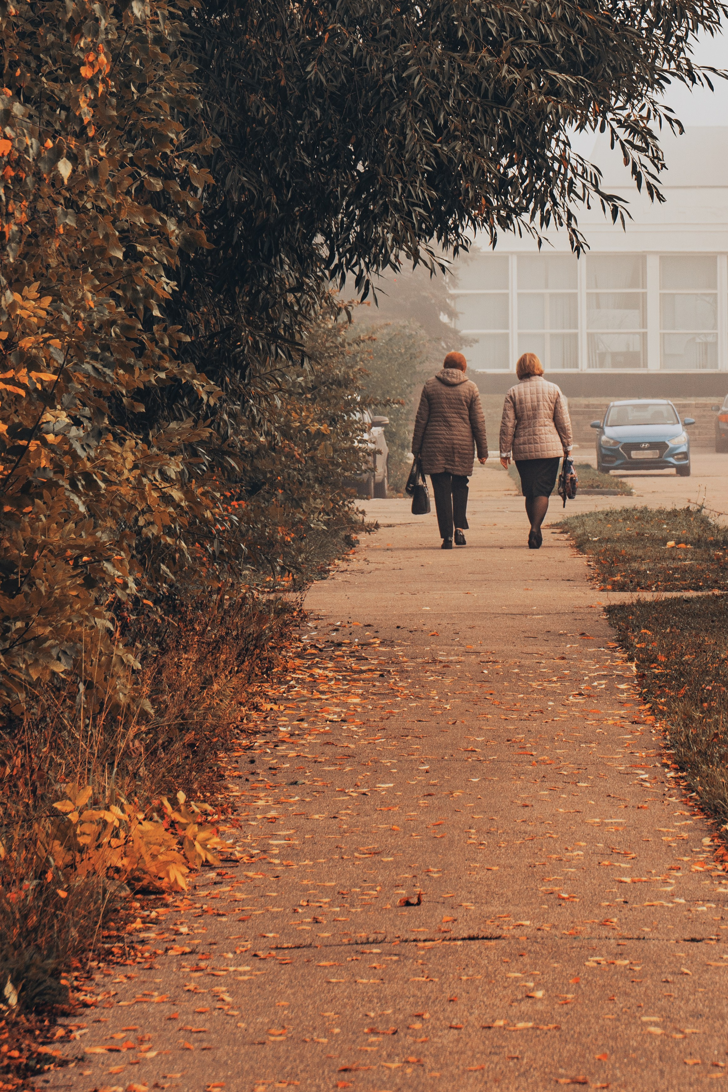 НИИМЭ Микрон Зеленоград Башня Институт молекулярной электроники gusarov2906