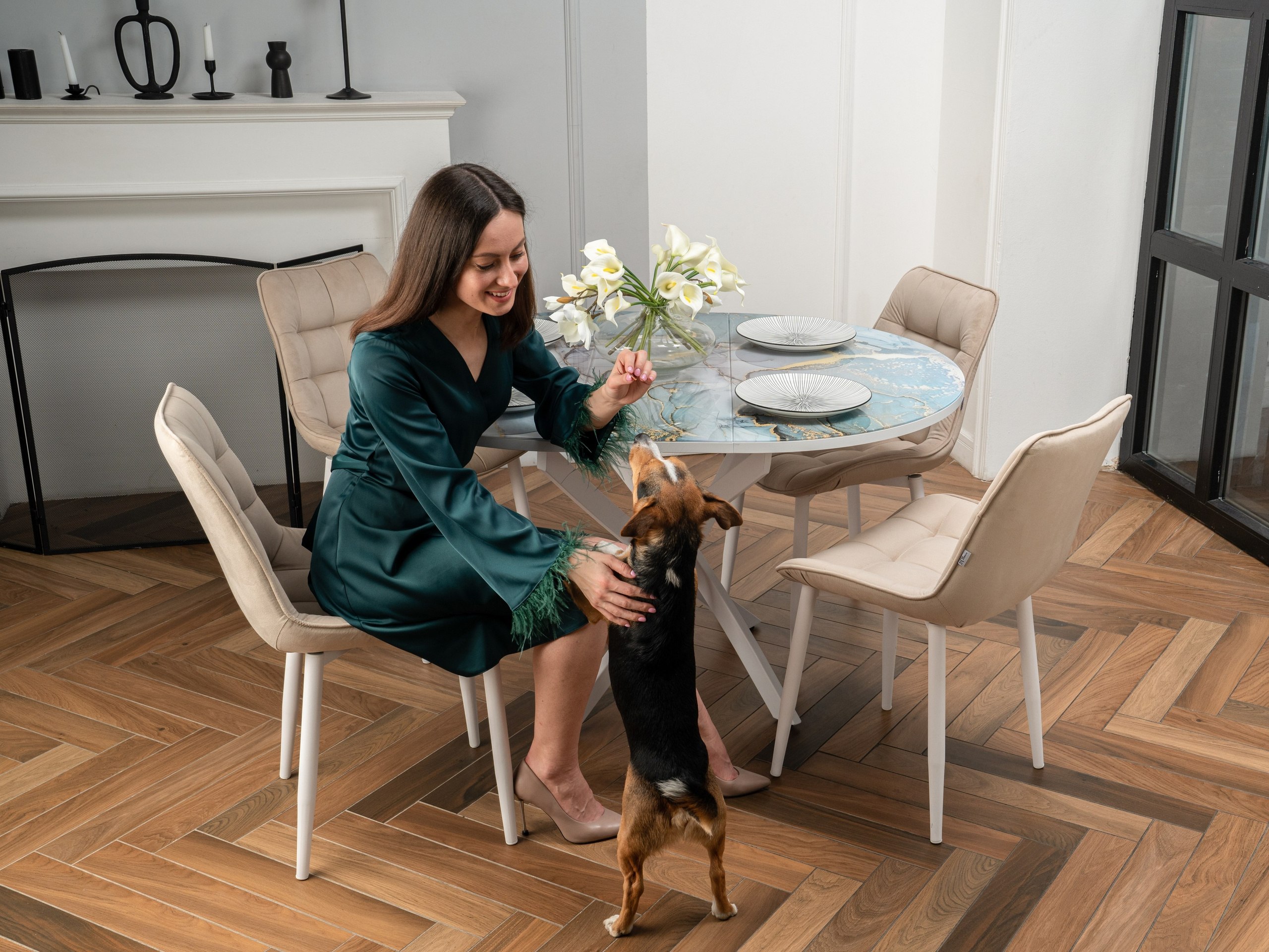 Съемки с животными. КЕД Студия-контент агентство полного цикла СПБ. Создаём фото, видео и контент, который помогает брендам и селлерам продавать больше