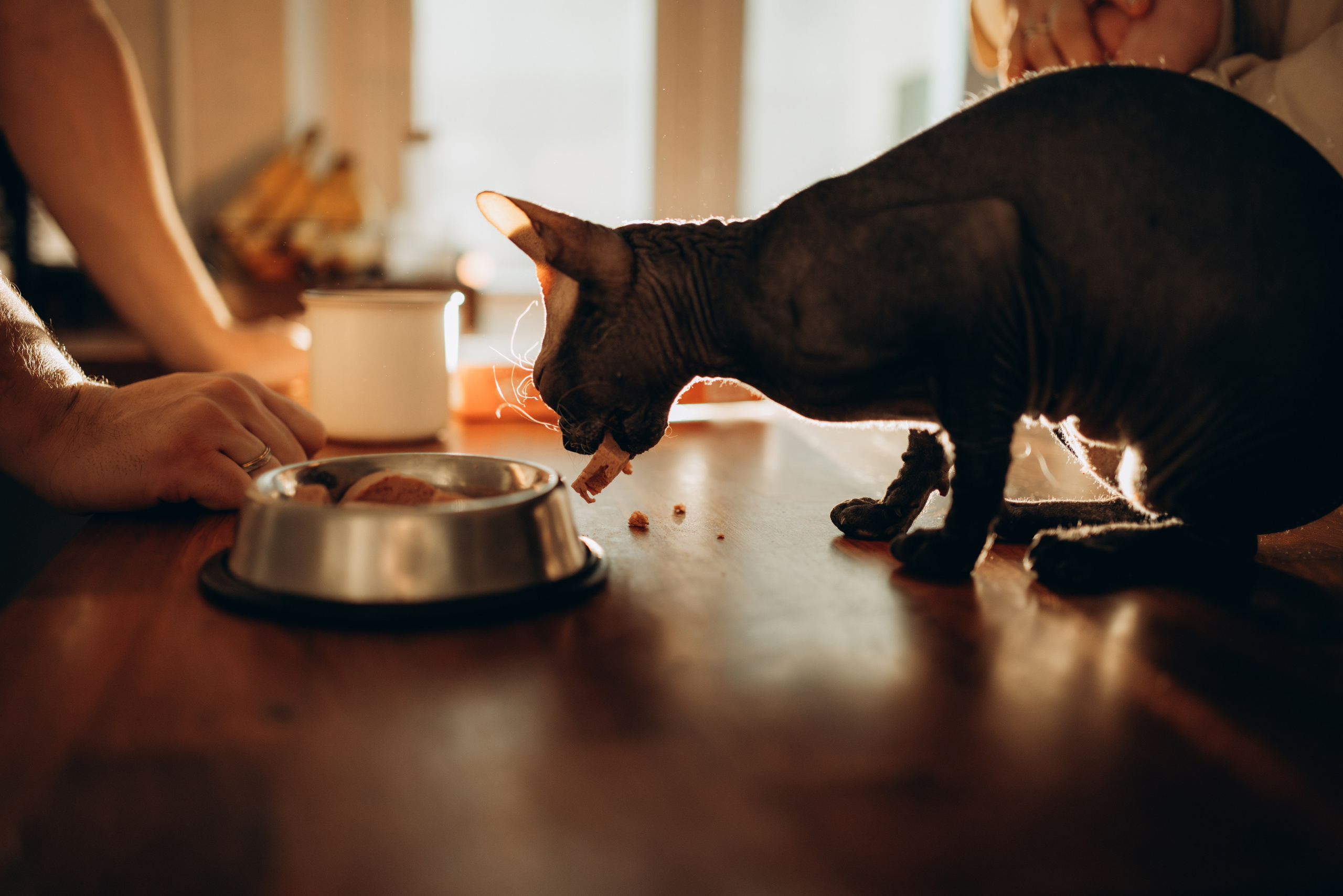 Настя, Максим и Амелия. Фотограф в Минске — Мария Миллс