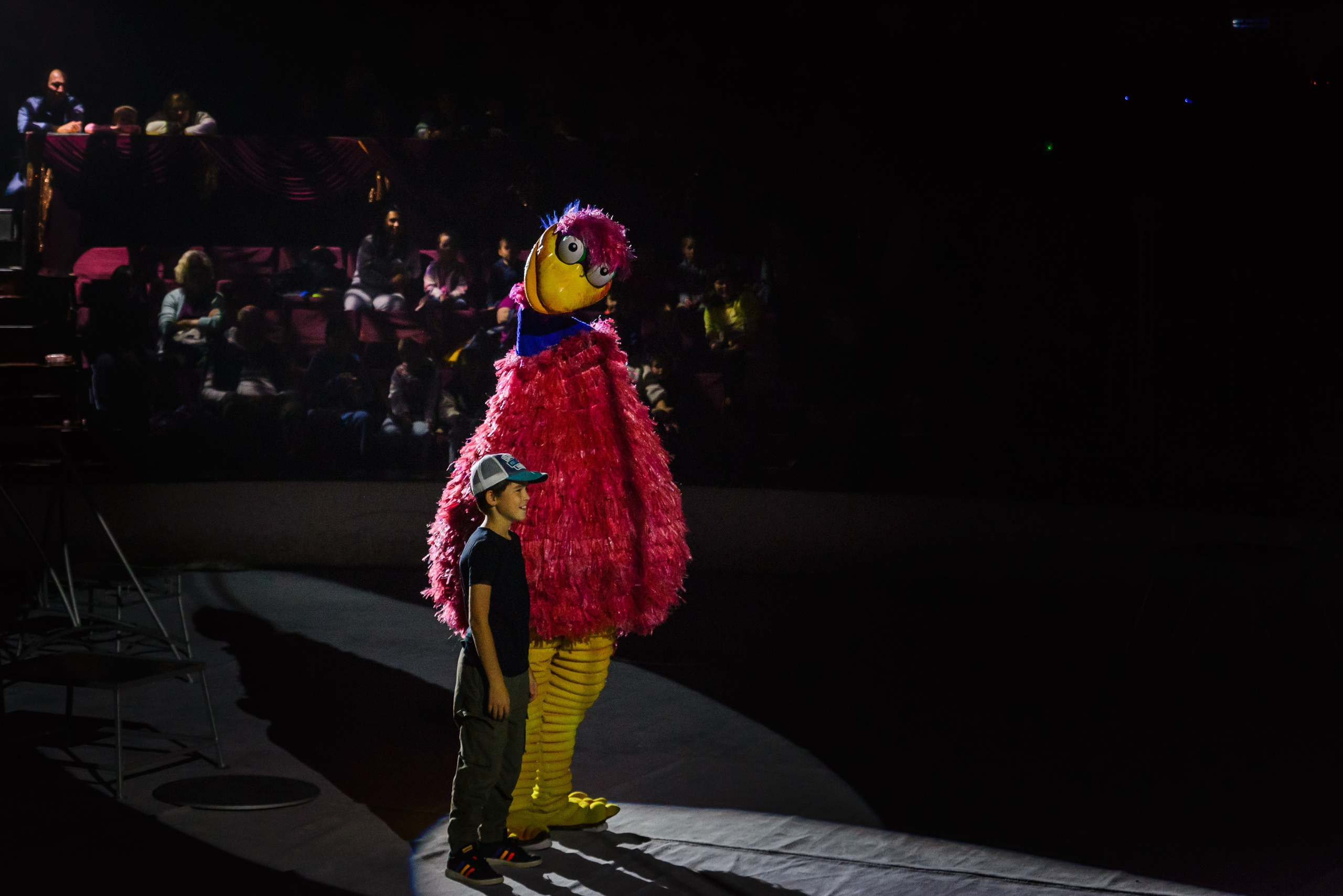 Пермский государственный цирк. Фотограф в Ханты-Мансийске Евгений Жуланов