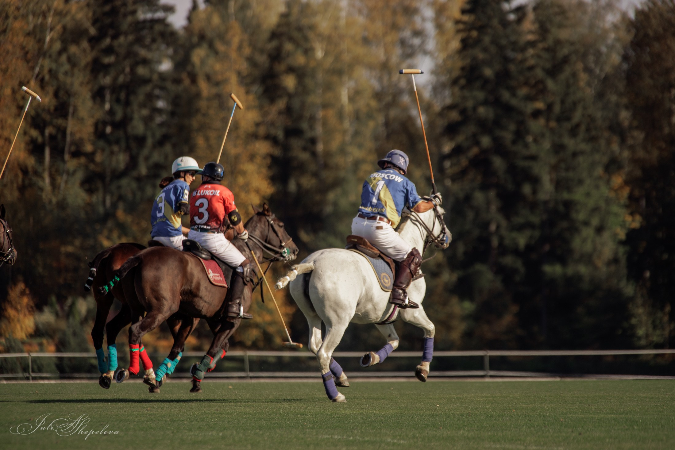 Осенний кубок по конному поло. Детская Конная фотография в Москве Юлия Шепелева