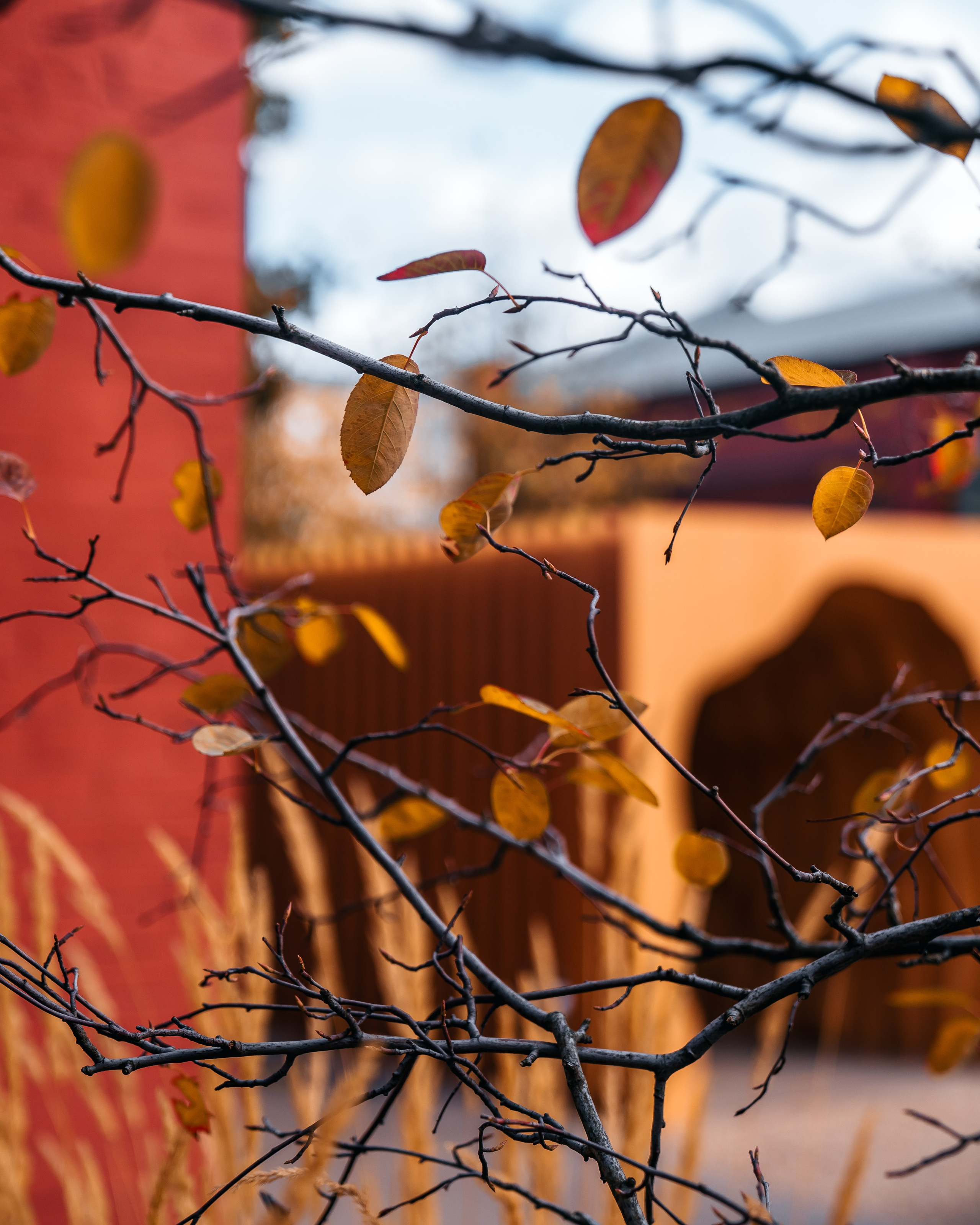 Republic, FORMA. @tomrus: Рустам Шагиморданов — фотограф