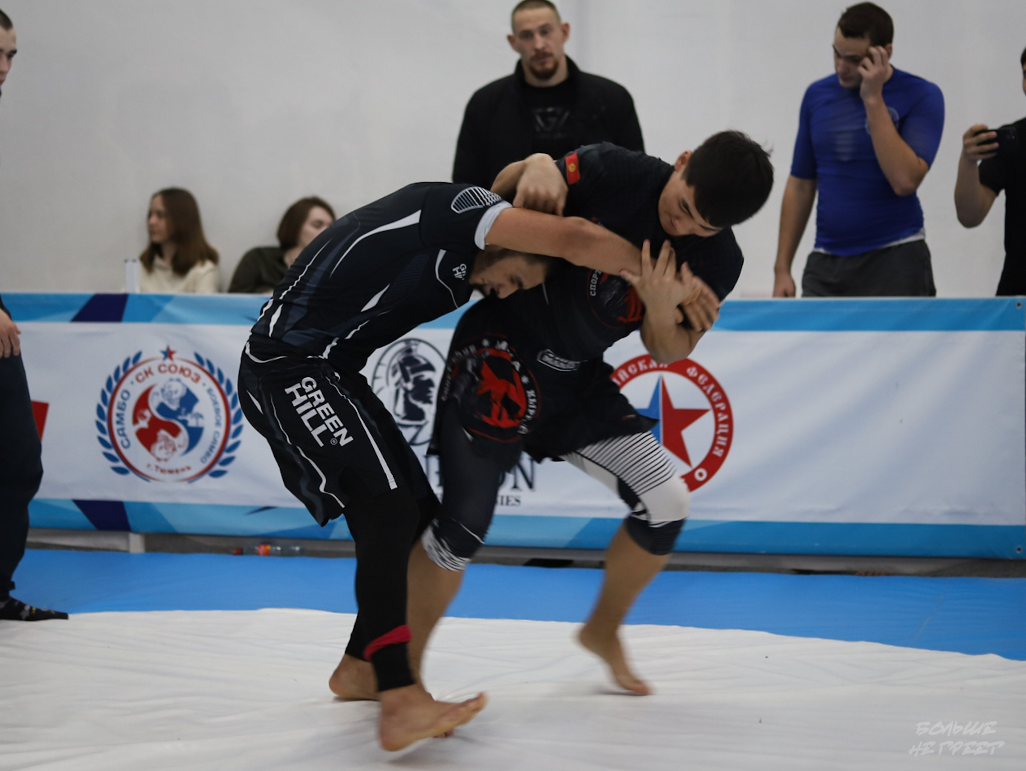 GORILLA PRIDE CUP. Больше не греет