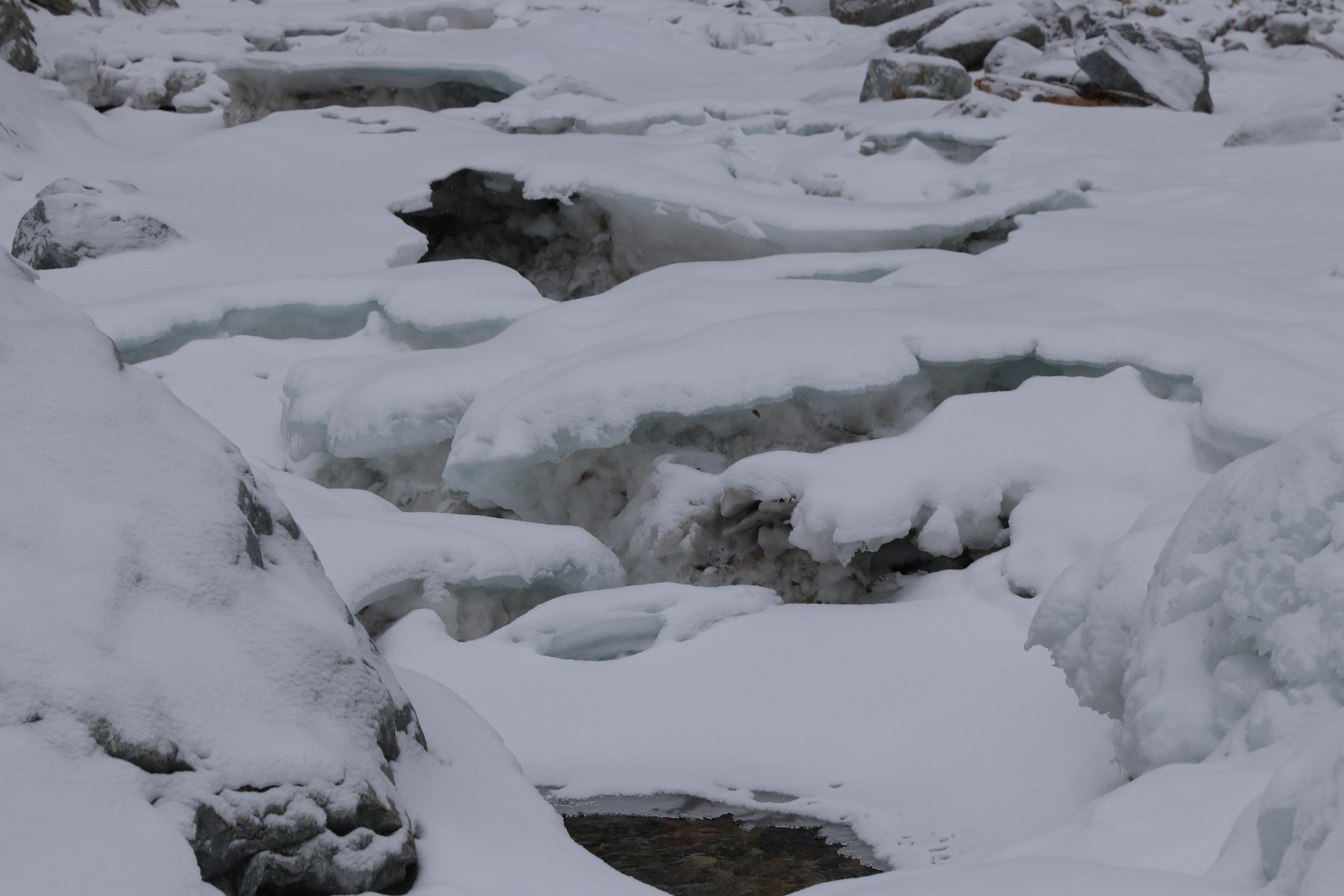 Аршан. Январь 2024. Путешественник-фотограф из Санкт-Петербурга Татьяна Свистулина