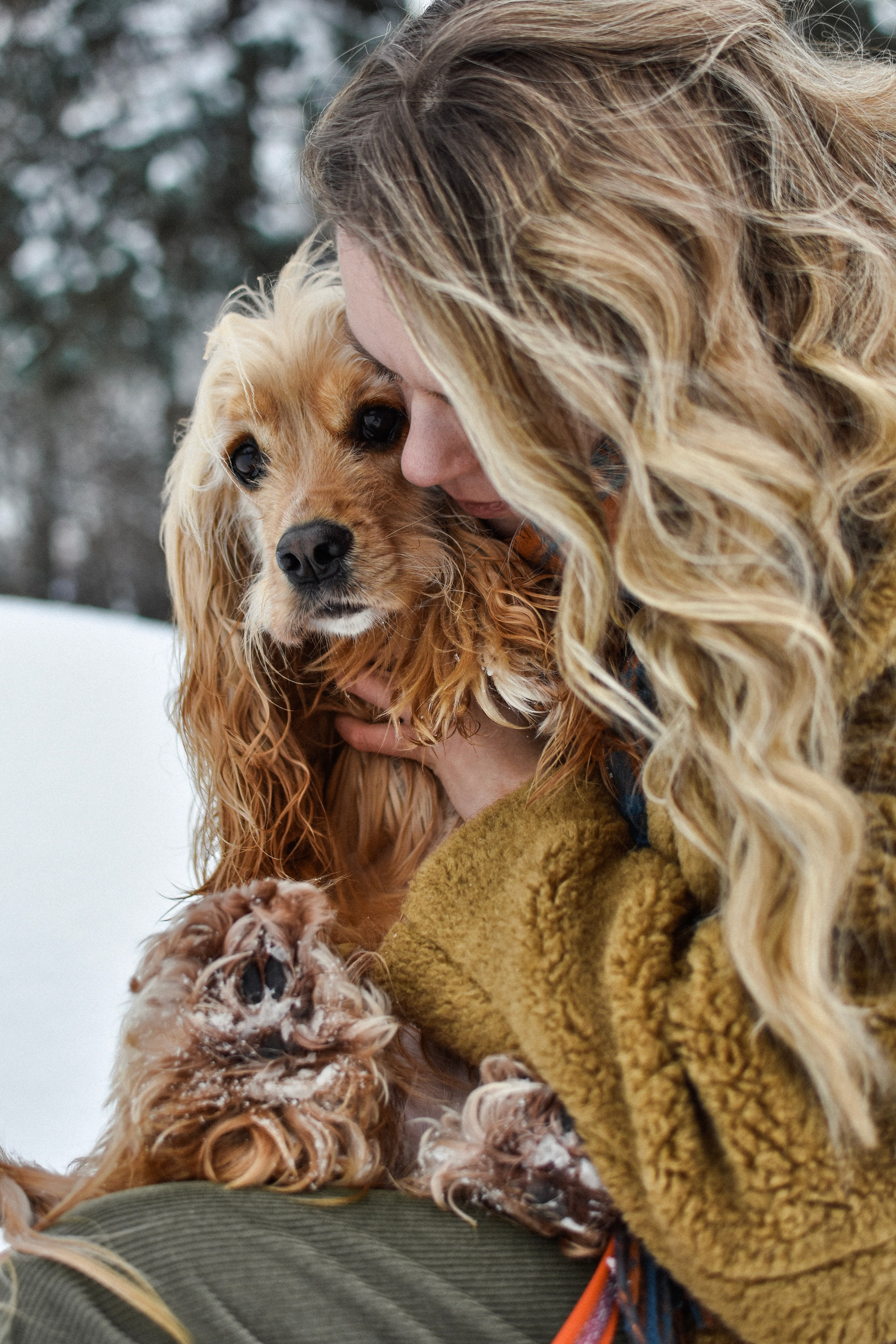 Мира и Даша. Фотограф-анималист Ксения Шевцова|Москва