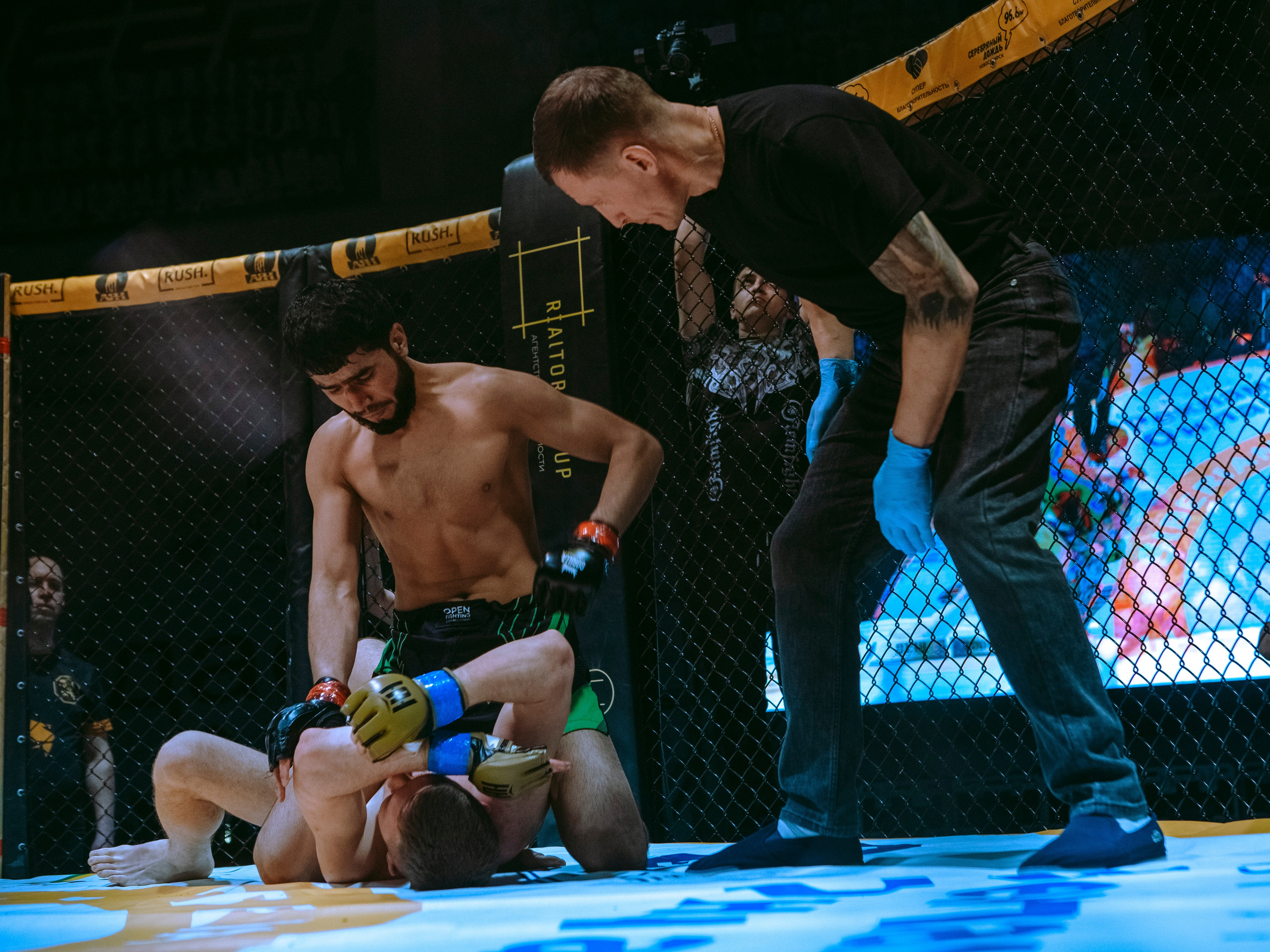 SFL 17 | Siberian Fighting League. Портретный фотограф в Москве Дарья Цезария