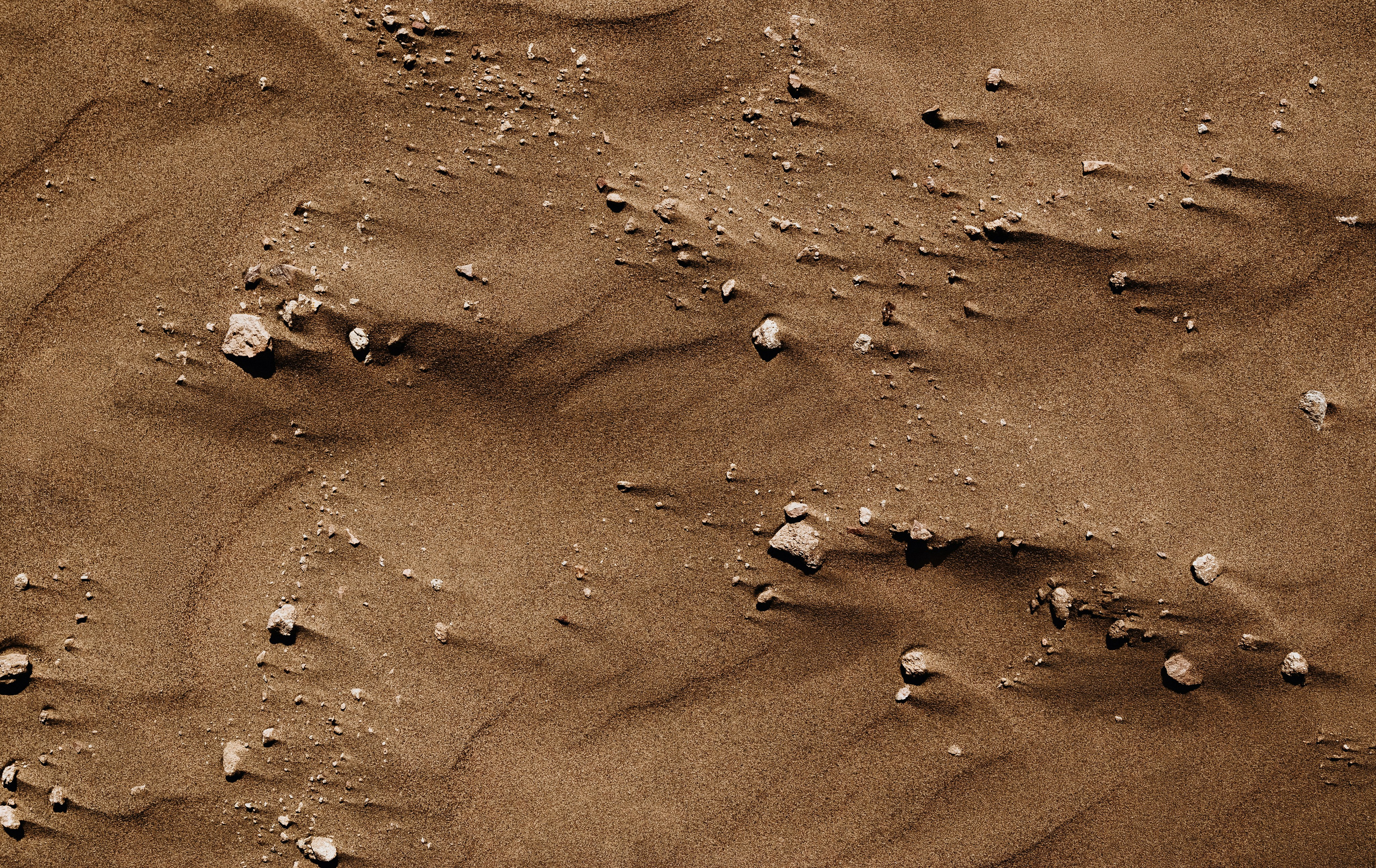 Жизнь. Фотограф Алматы | Весь мир — Никита Колодин