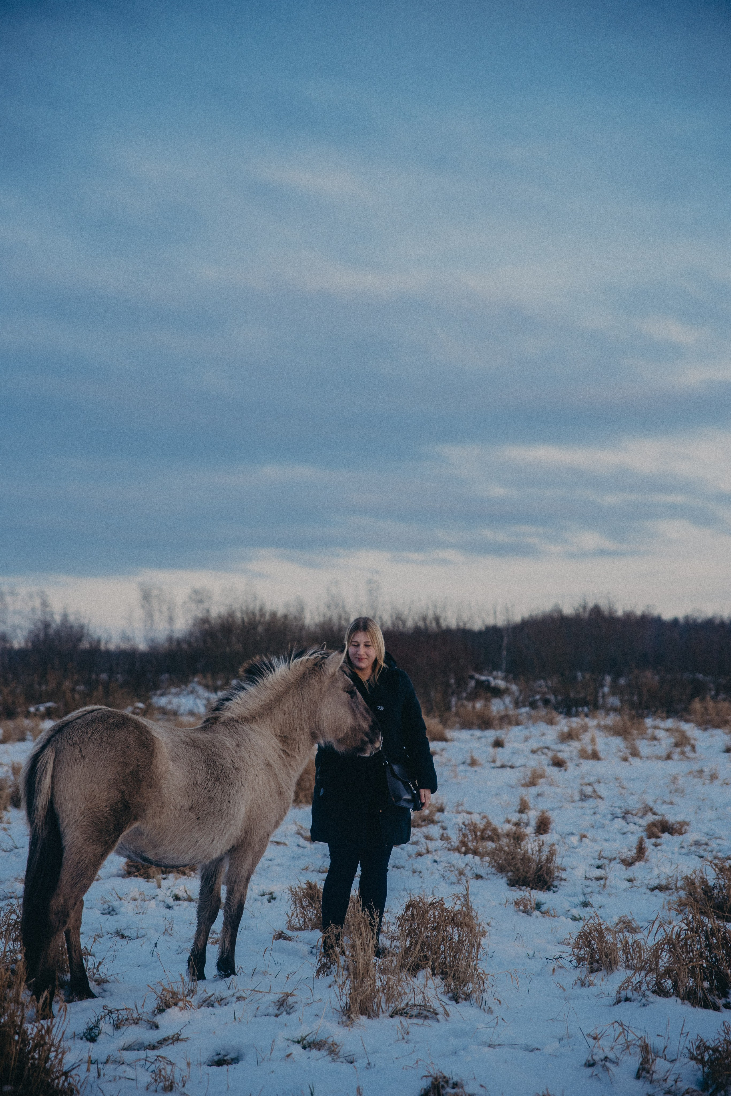 Тарпаны. Anita_photo