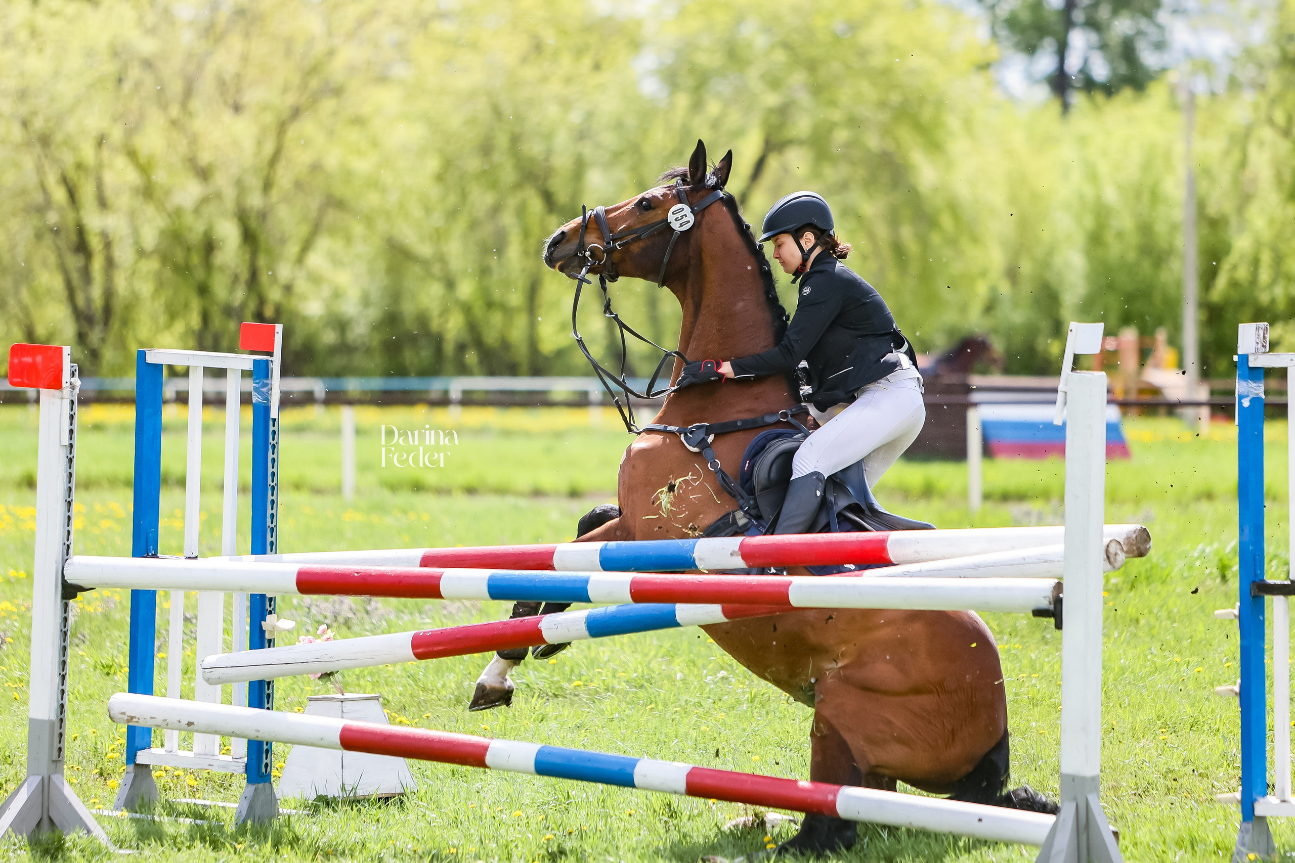 Репортаж соревнований. Главная