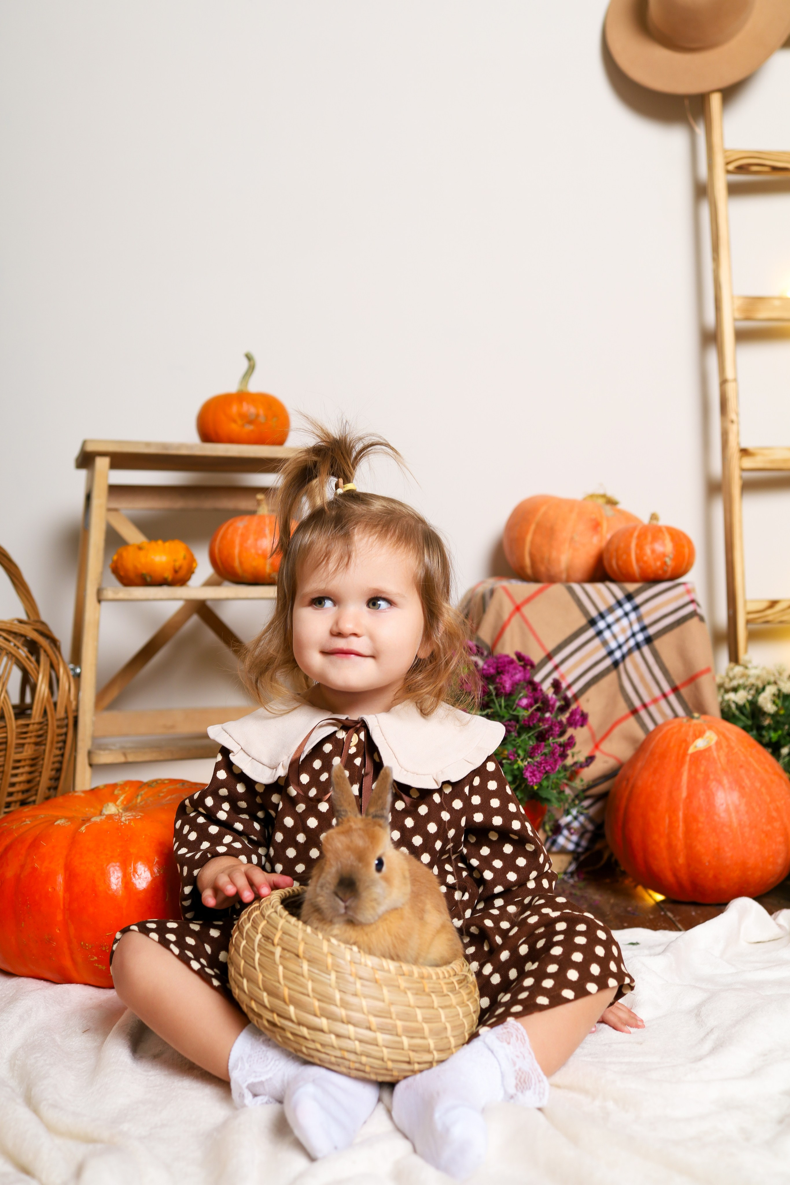 Пушистый друг. Фотограф в Туле Аушева Юлия