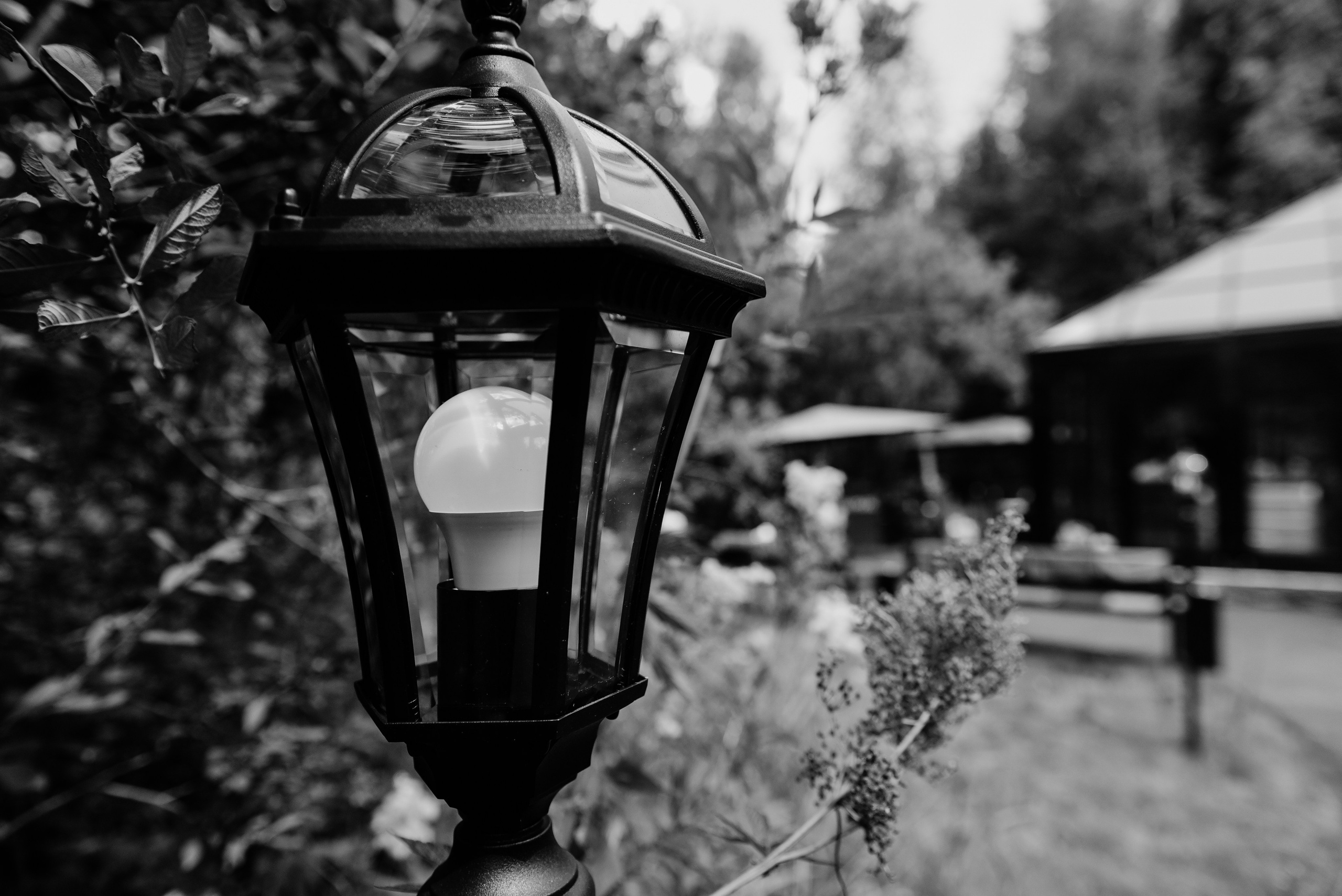 Green house. Фотограф, визажист. Москва