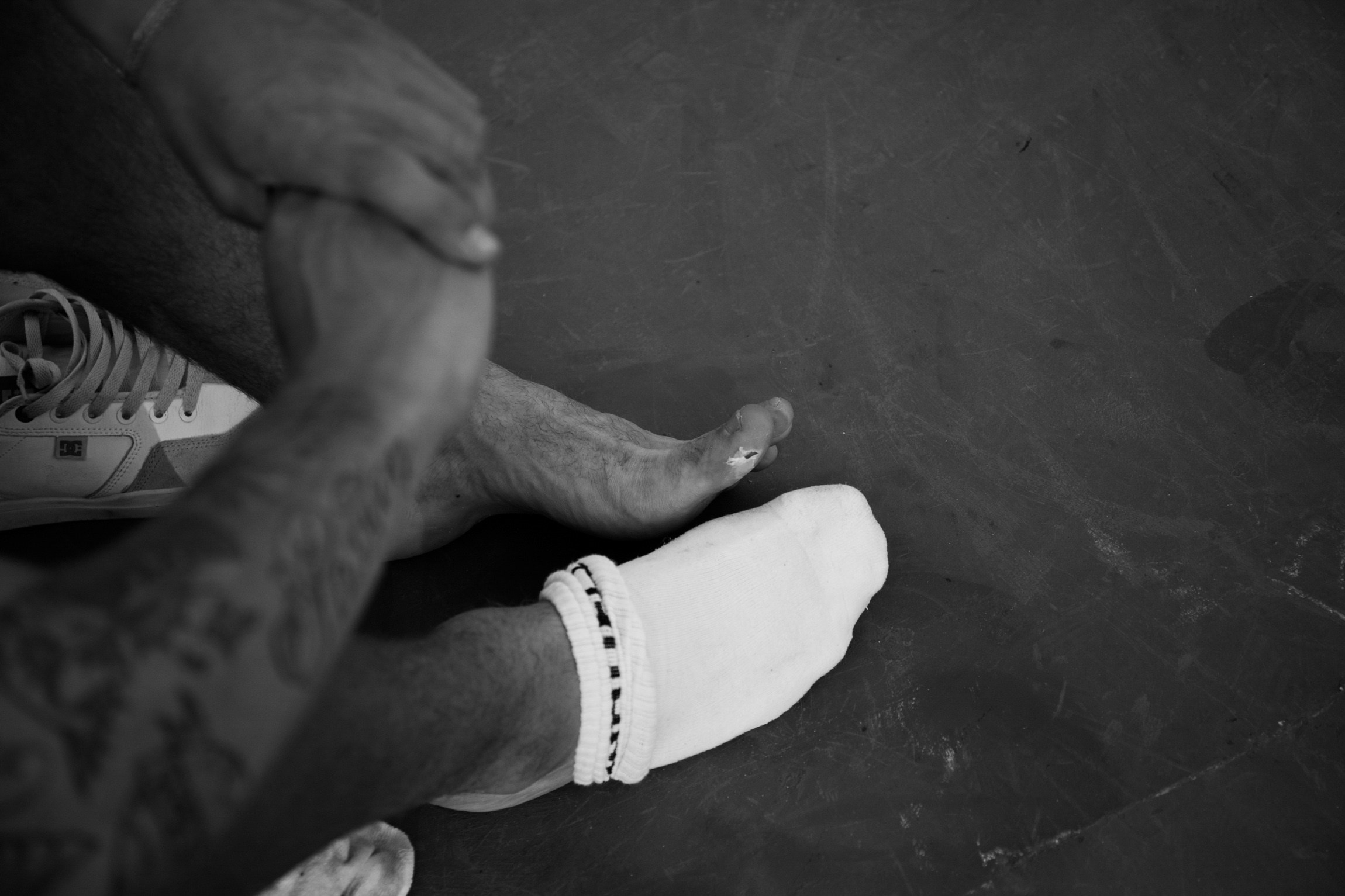 Lifestyle. Bivol images