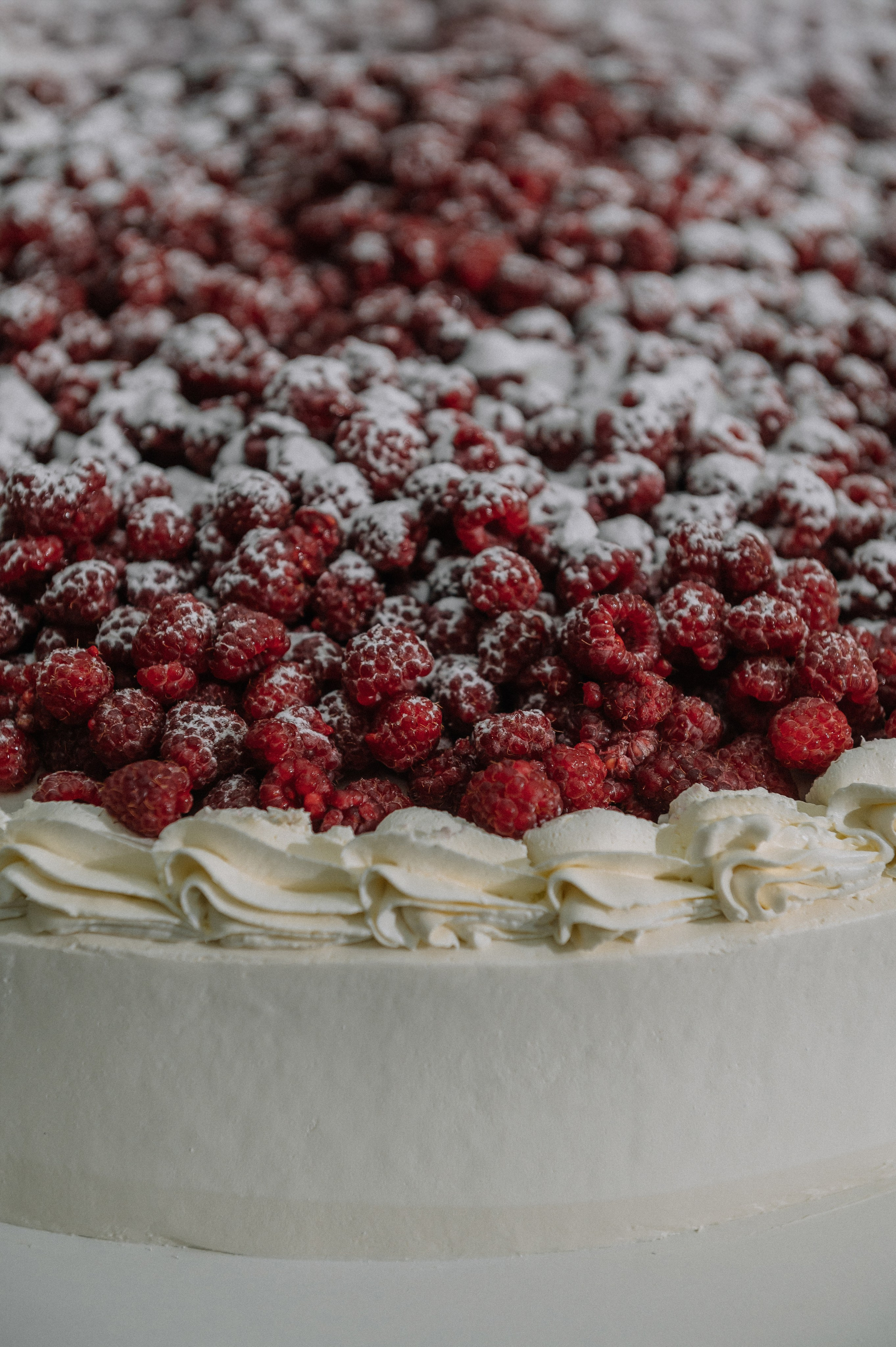 Артем и Оксана. Свадебный фотограф