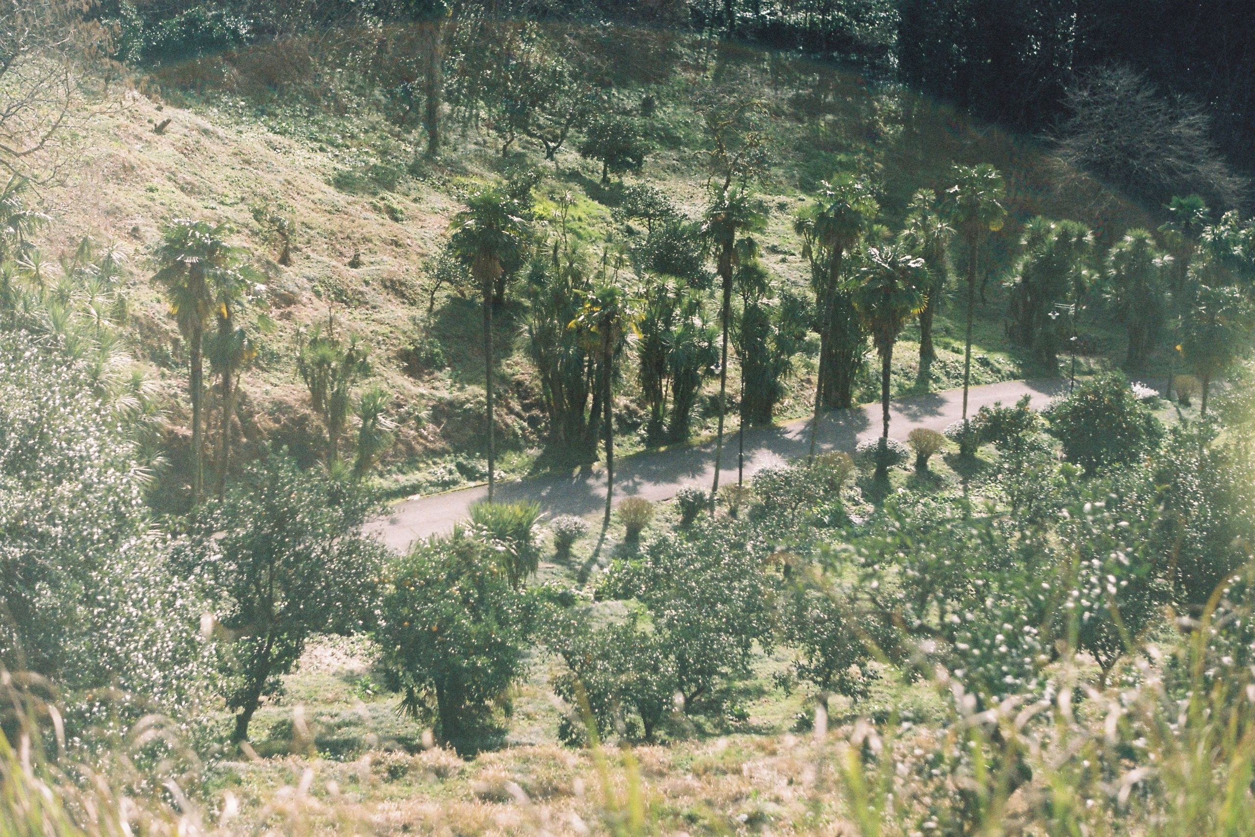 Test Film. Dmitriy [KCCC] is a pretty cool photographer