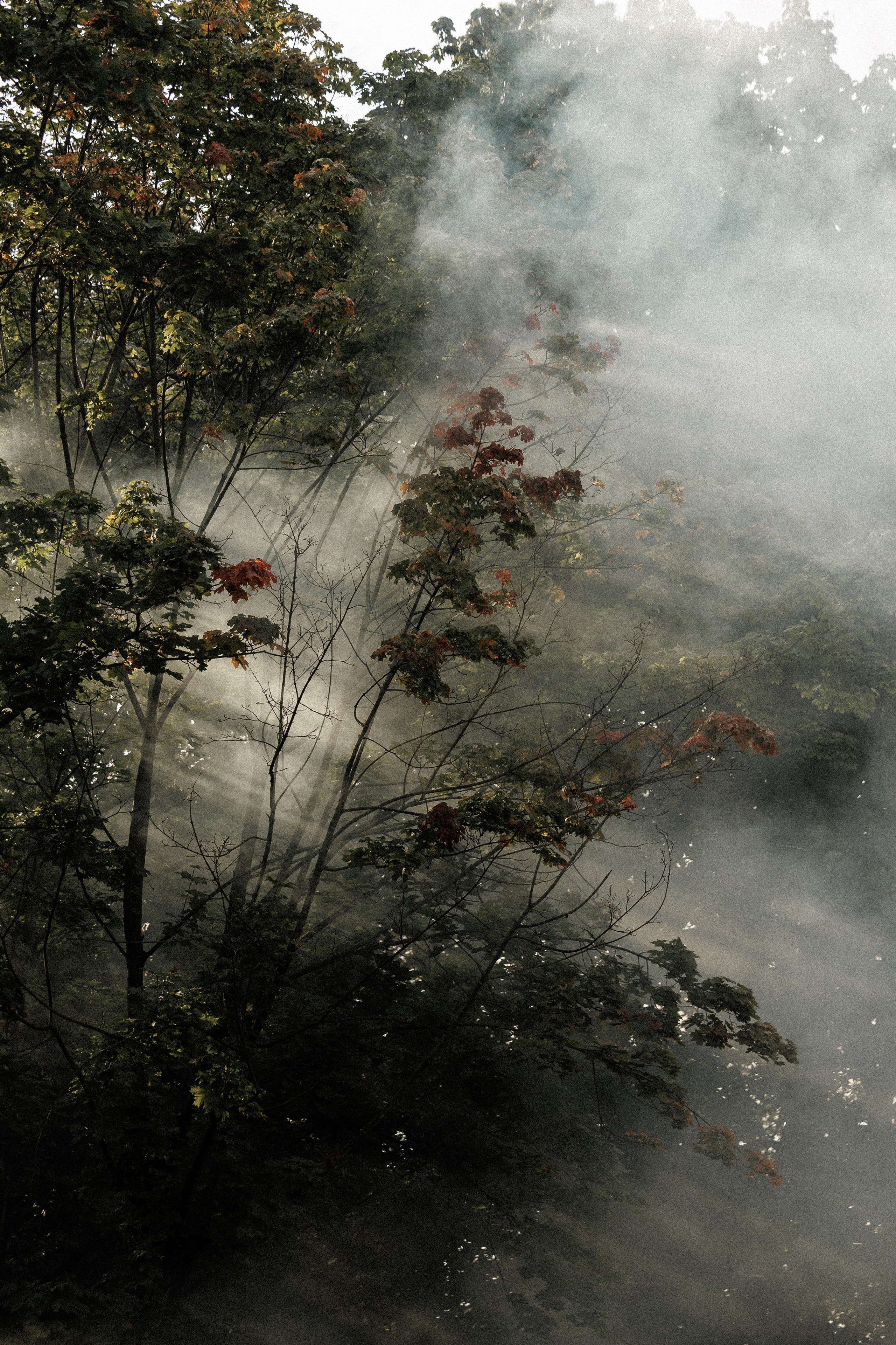V & A. Свадебный и event-фотограф Иван Волнухин