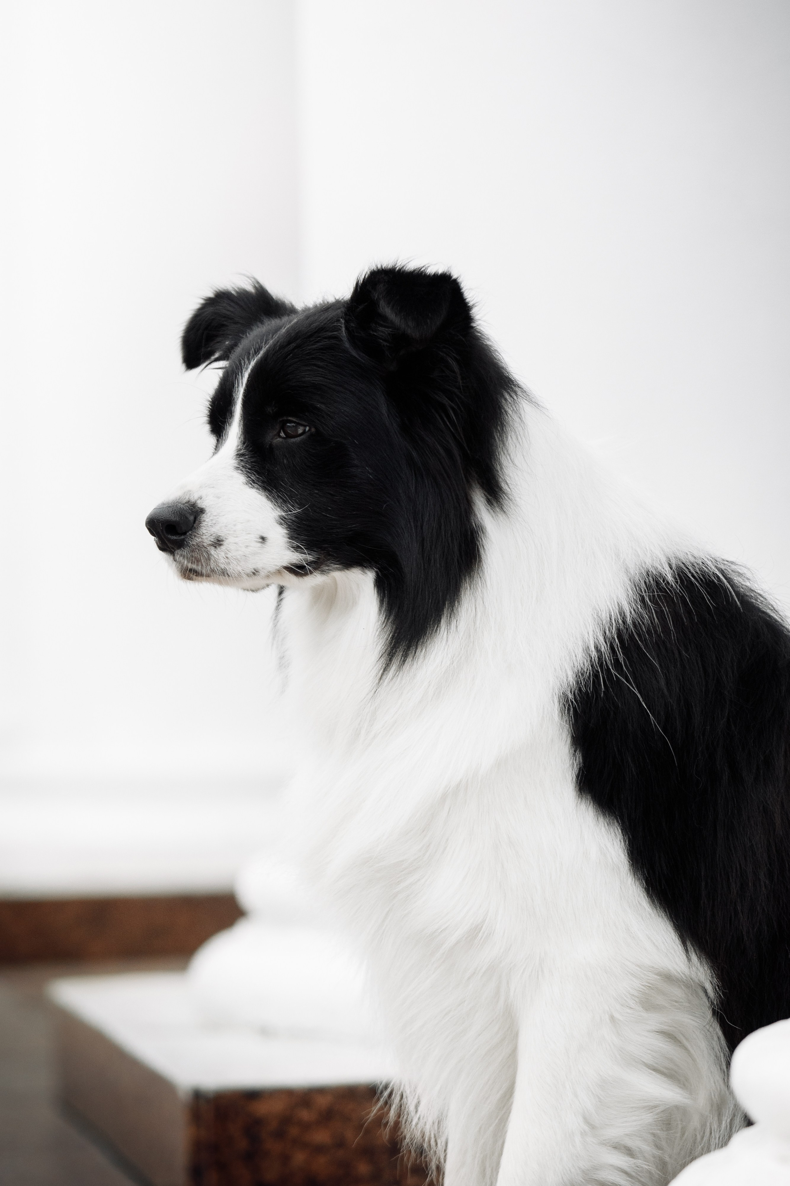 Казань. О нас