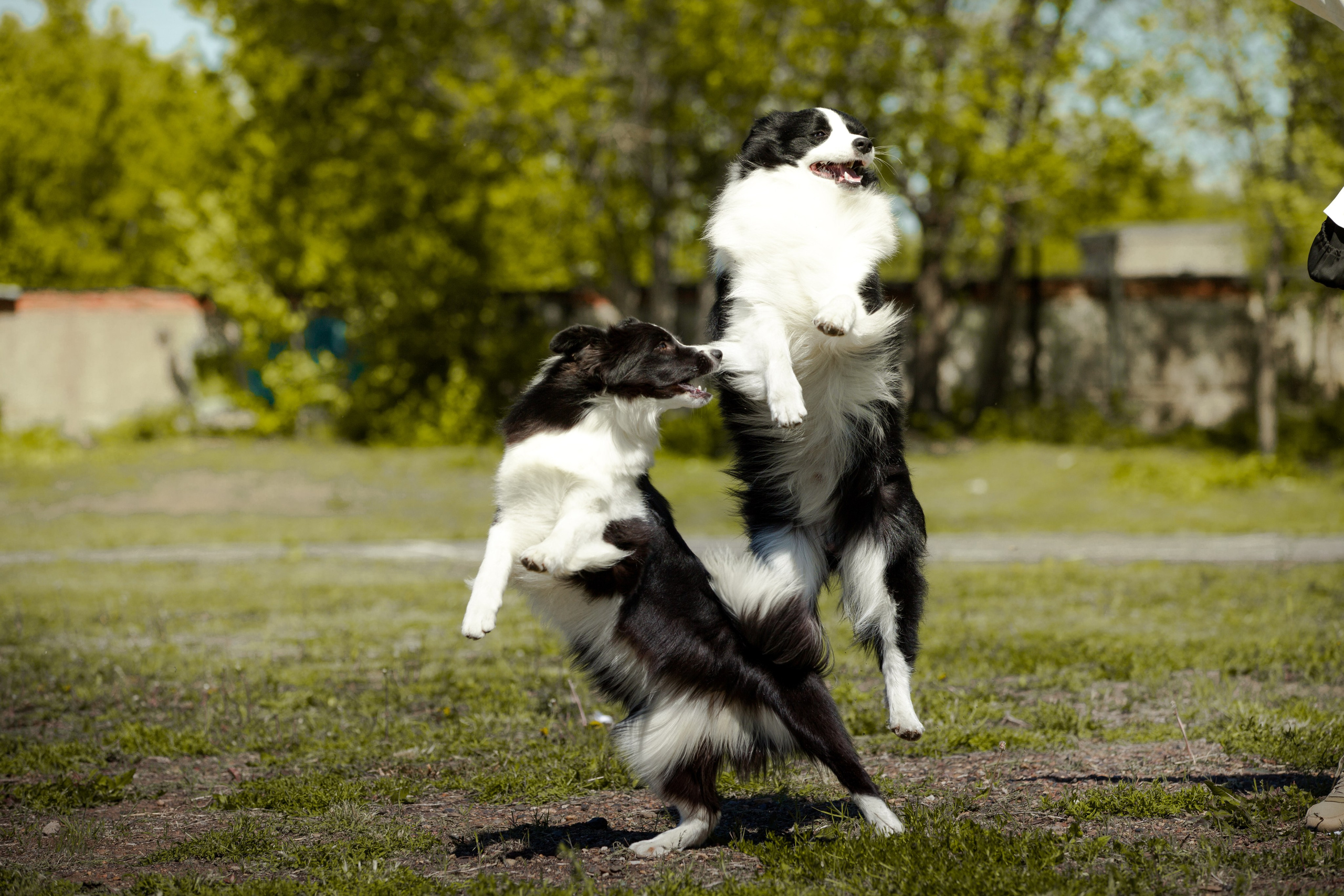 Зеленое в Оренбурге 19. О нас