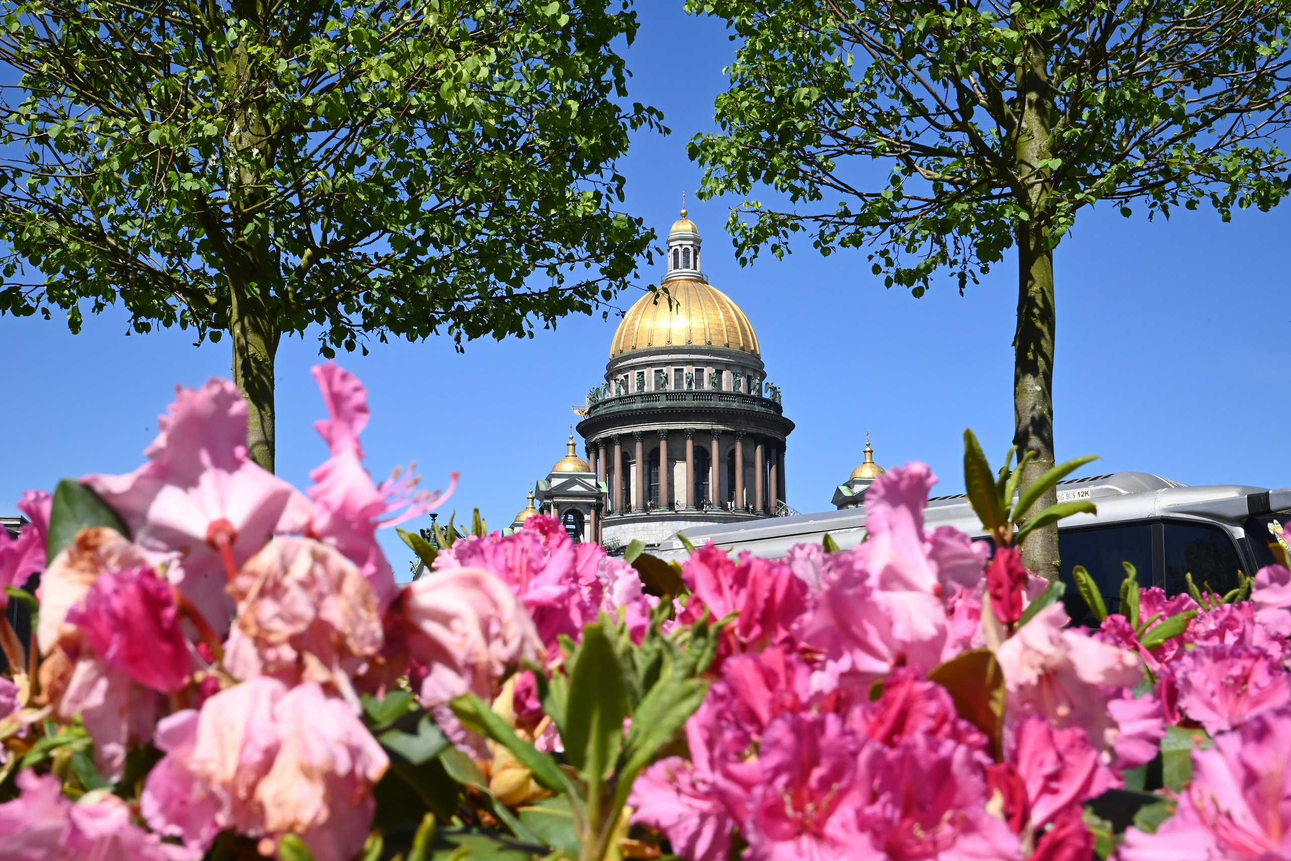 Street-фото. Дарья Медведева
