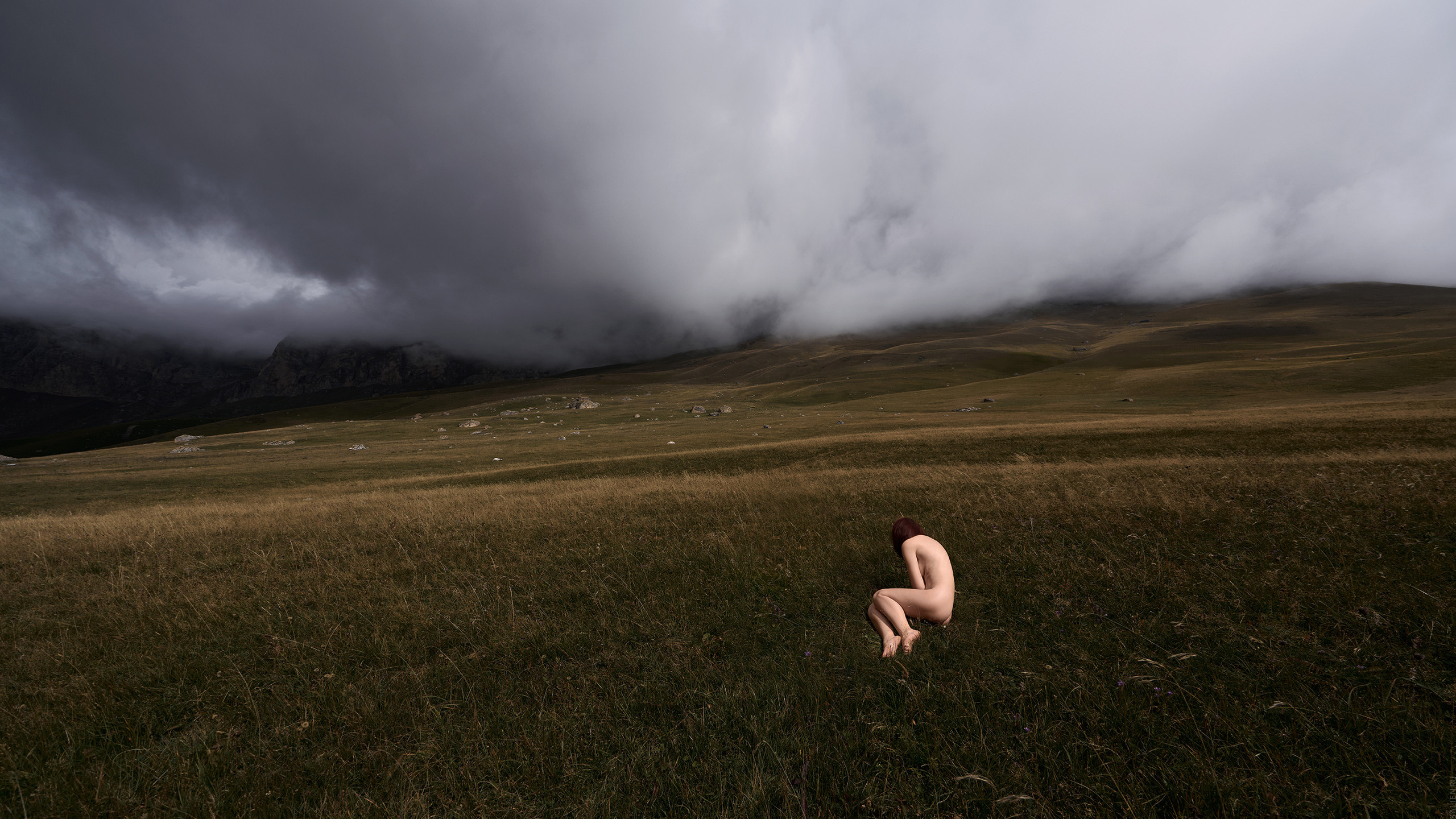 NATURAE NEXUM. Salien Adare