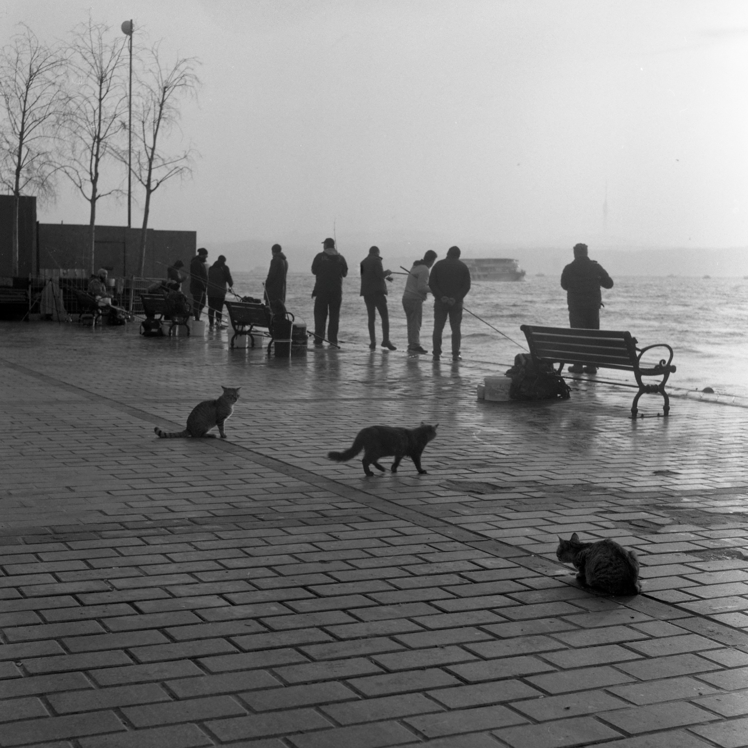 Turkey, Istanbul. Elena Nikitina. Photo Artist. Film photography. Prints