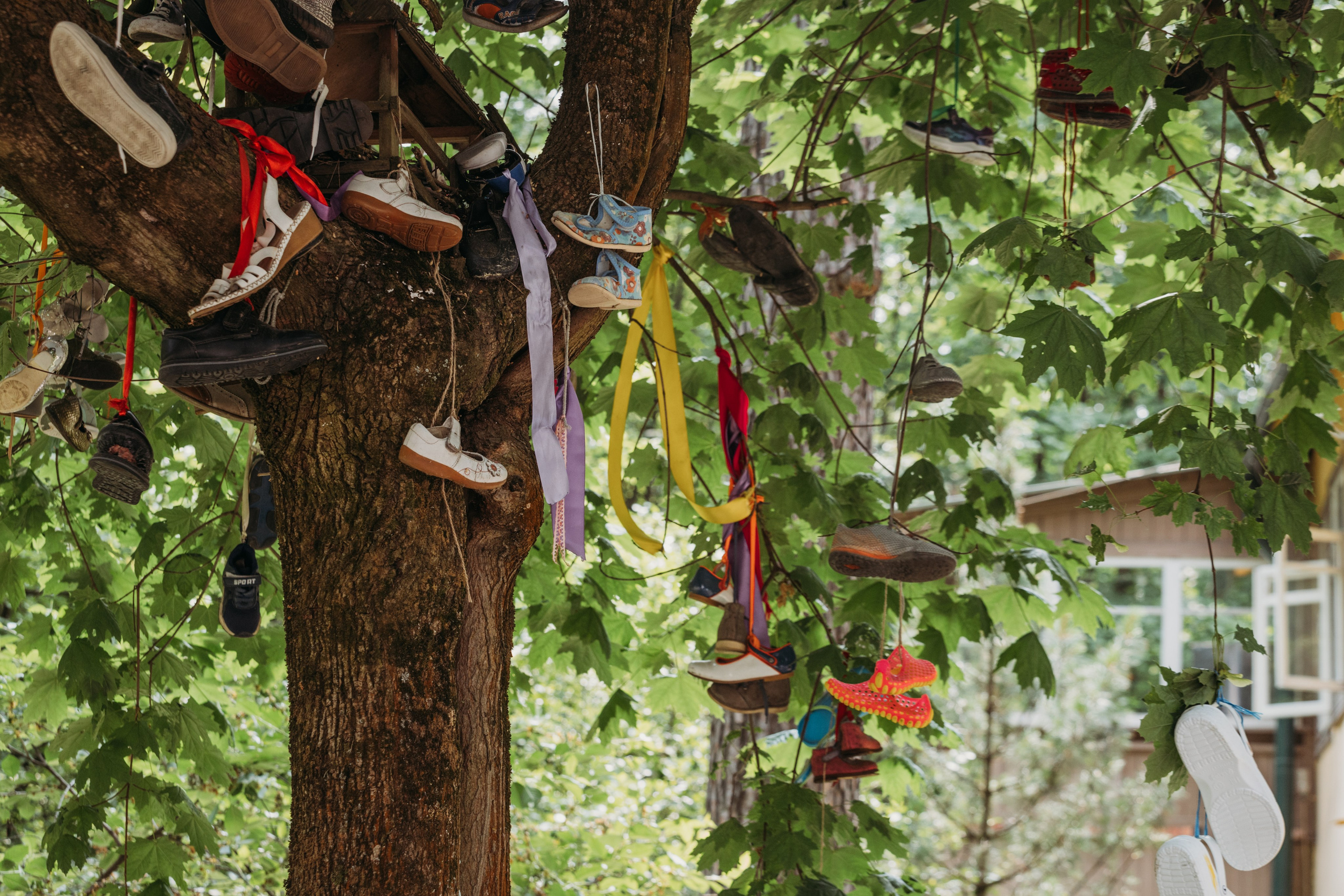 Родные люди «Переделкино». Леся Гаранина. Семейный фотограф/видеограф Москва и область