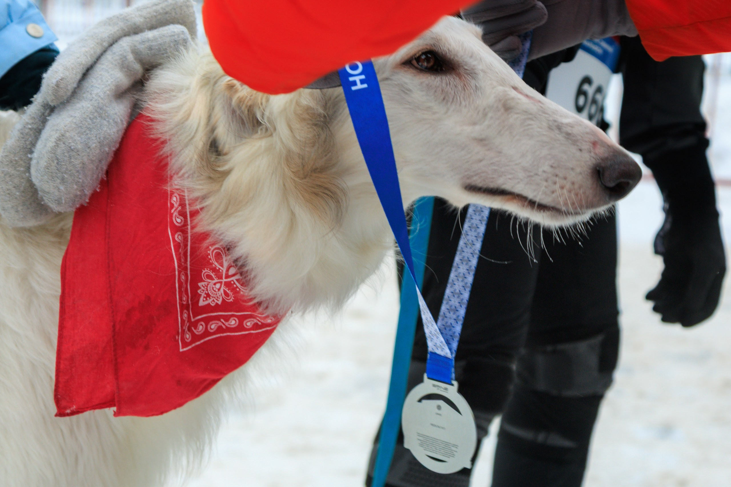 ЕвропаАзия | Зимний полумарафон. Репортажный фотограф Екатеринбург | Яркий, качественный репортаж | Концерты, клубы, репортаж, праздники, корпоративы