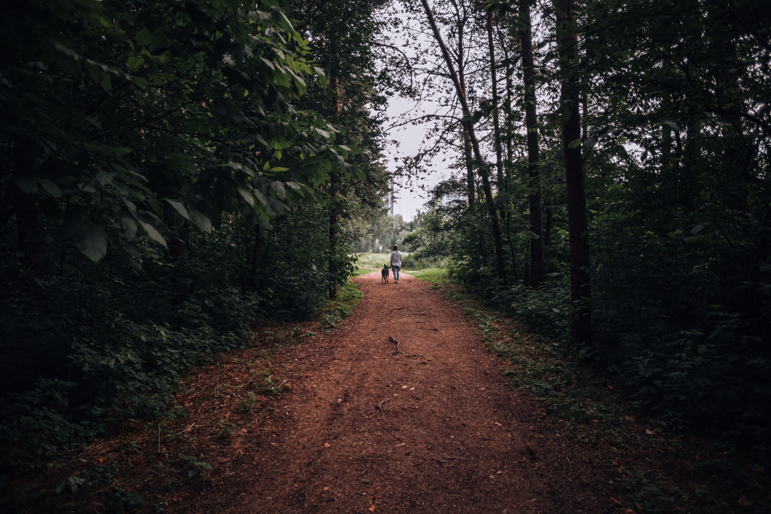 Лесная летняя фотопрогулка. Фотограф-анималист Татьяна Степанова