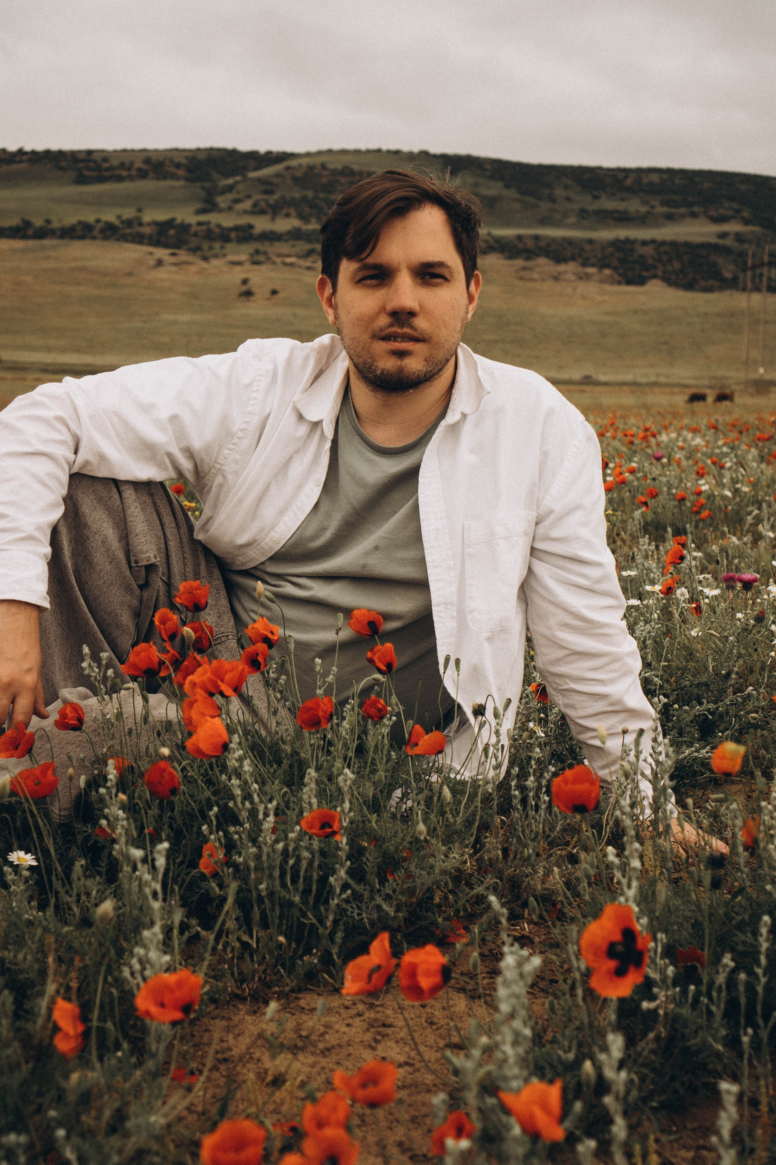 Маки. Профессиональный фотограф, Санкт-Петербург — Виктория Богомолова