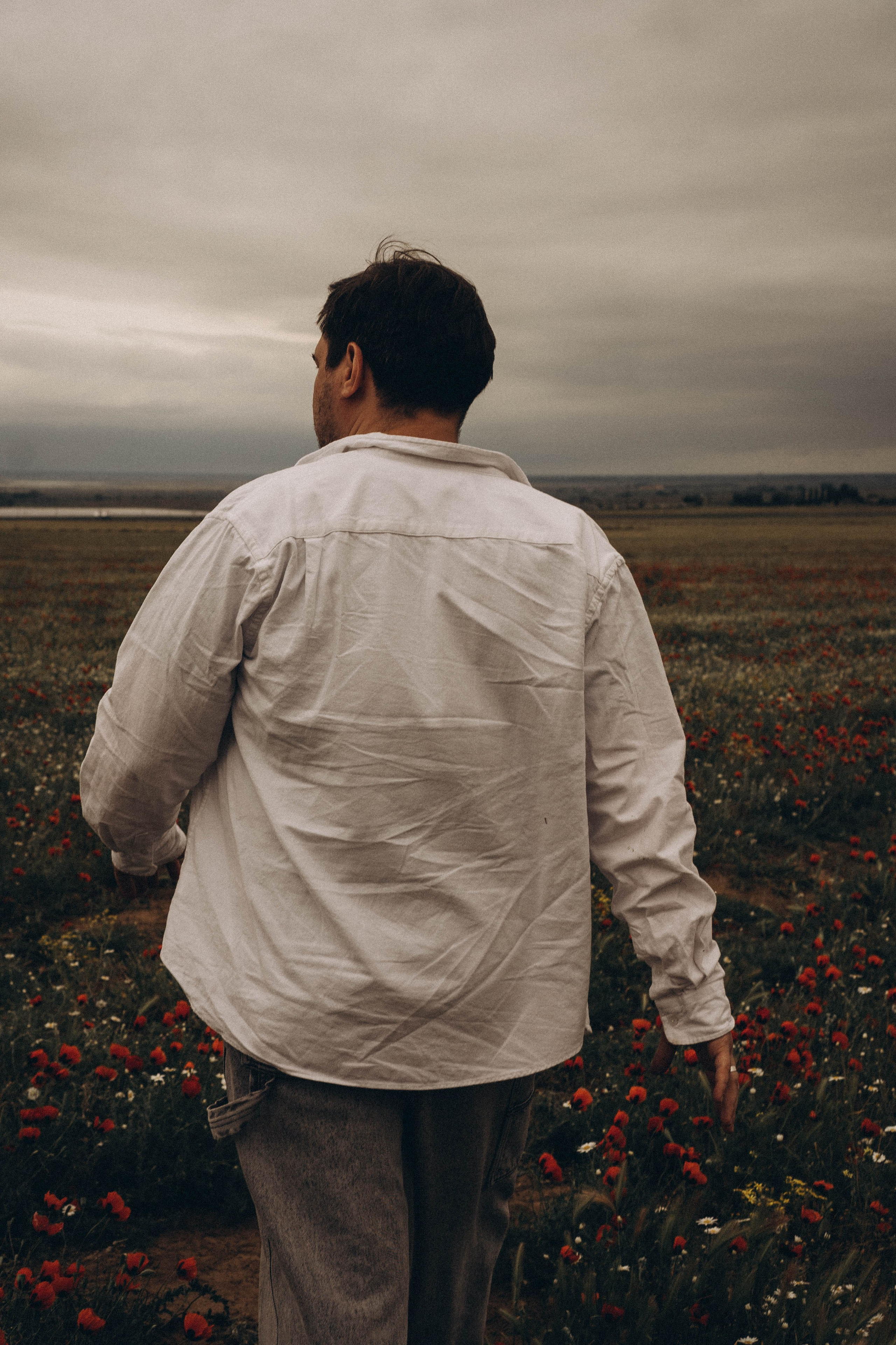 Маки. Профессиональный фотограф, Санкт-Петербург — Виктория Богомолова