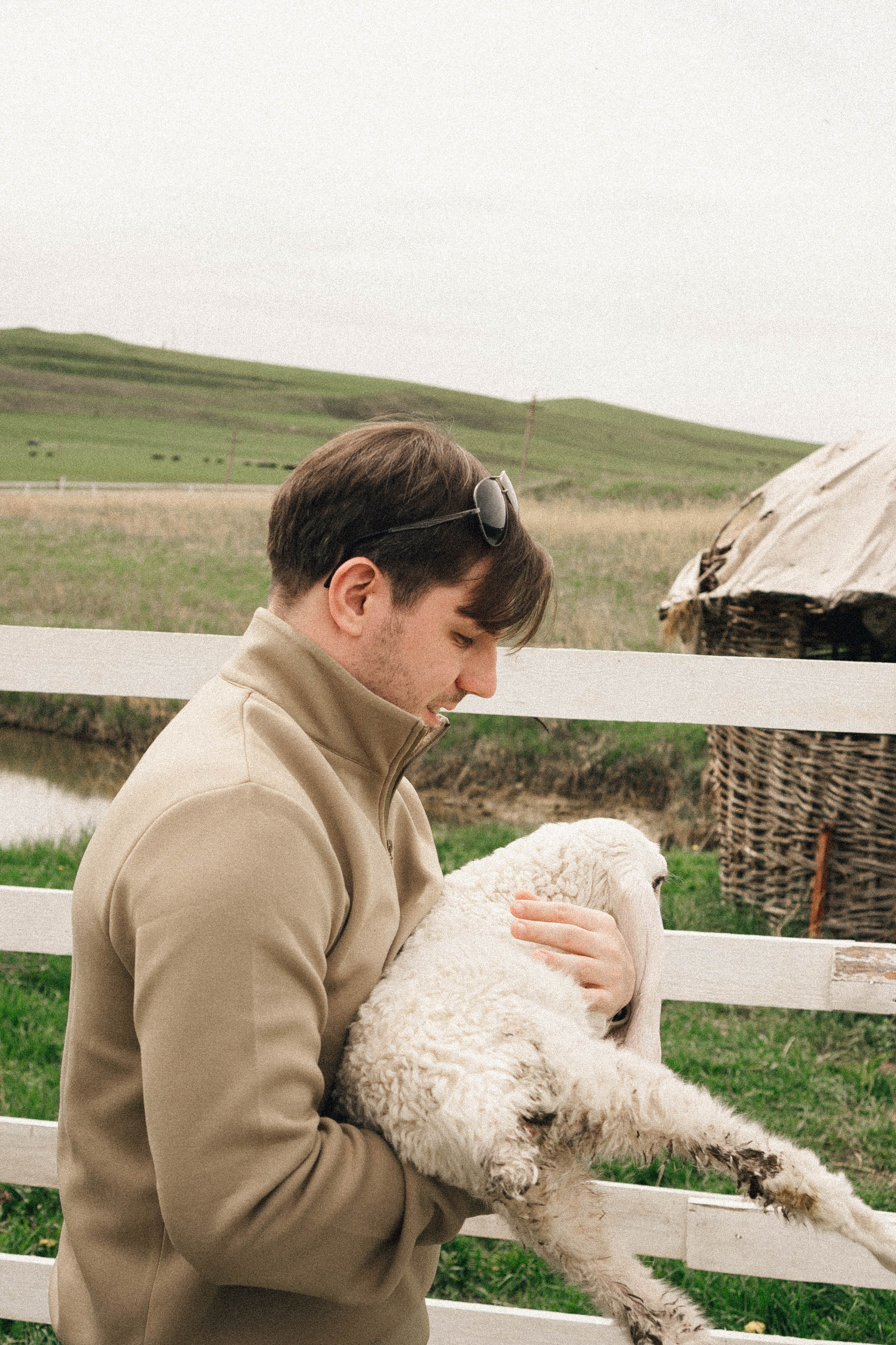 Ферма Альпак. Профессиональный фотограф, Санкт-Петербург — Виктория Богомолова