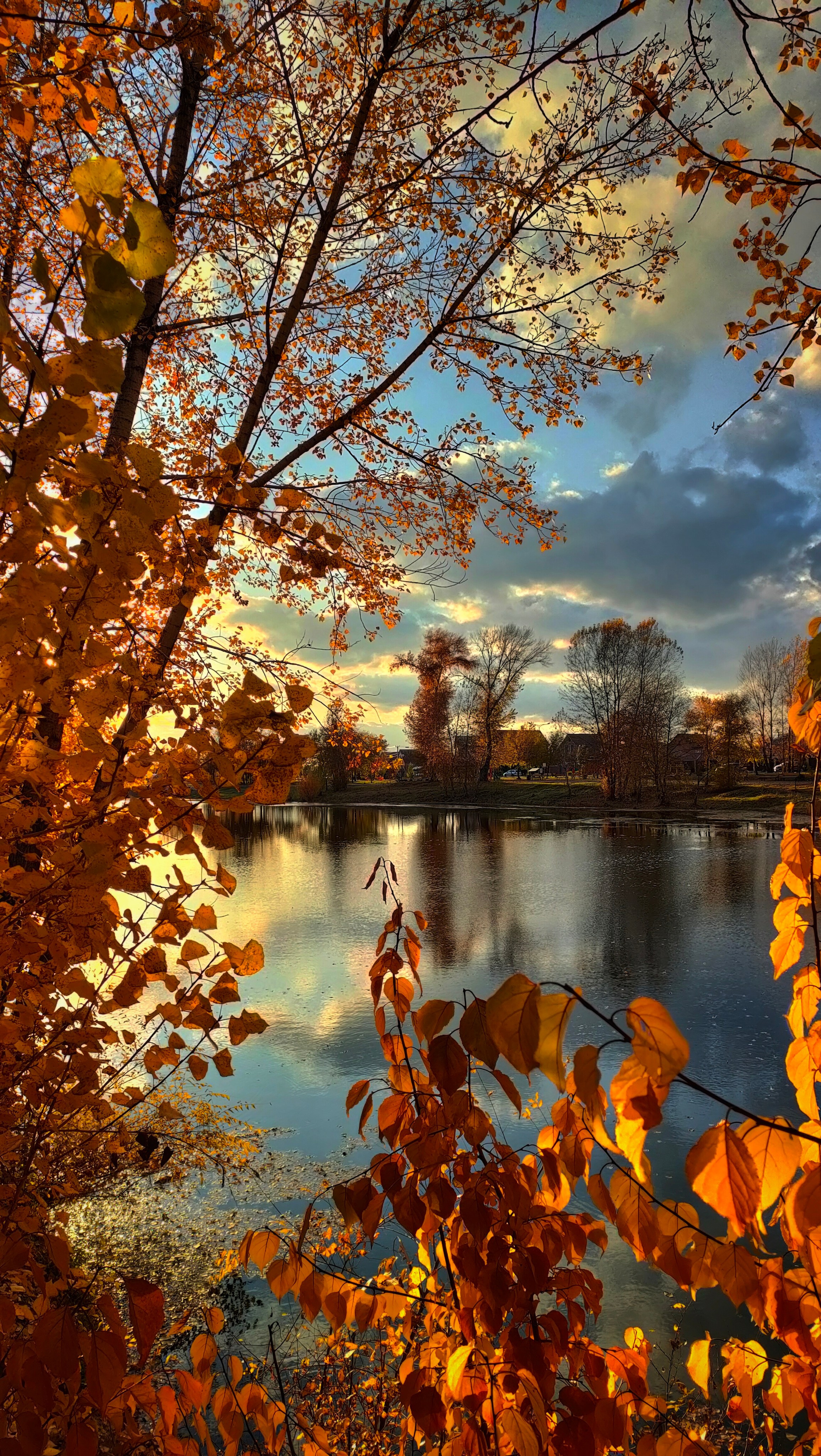 Фото на телефон. Фотошкола и фотокурсы в Абакане