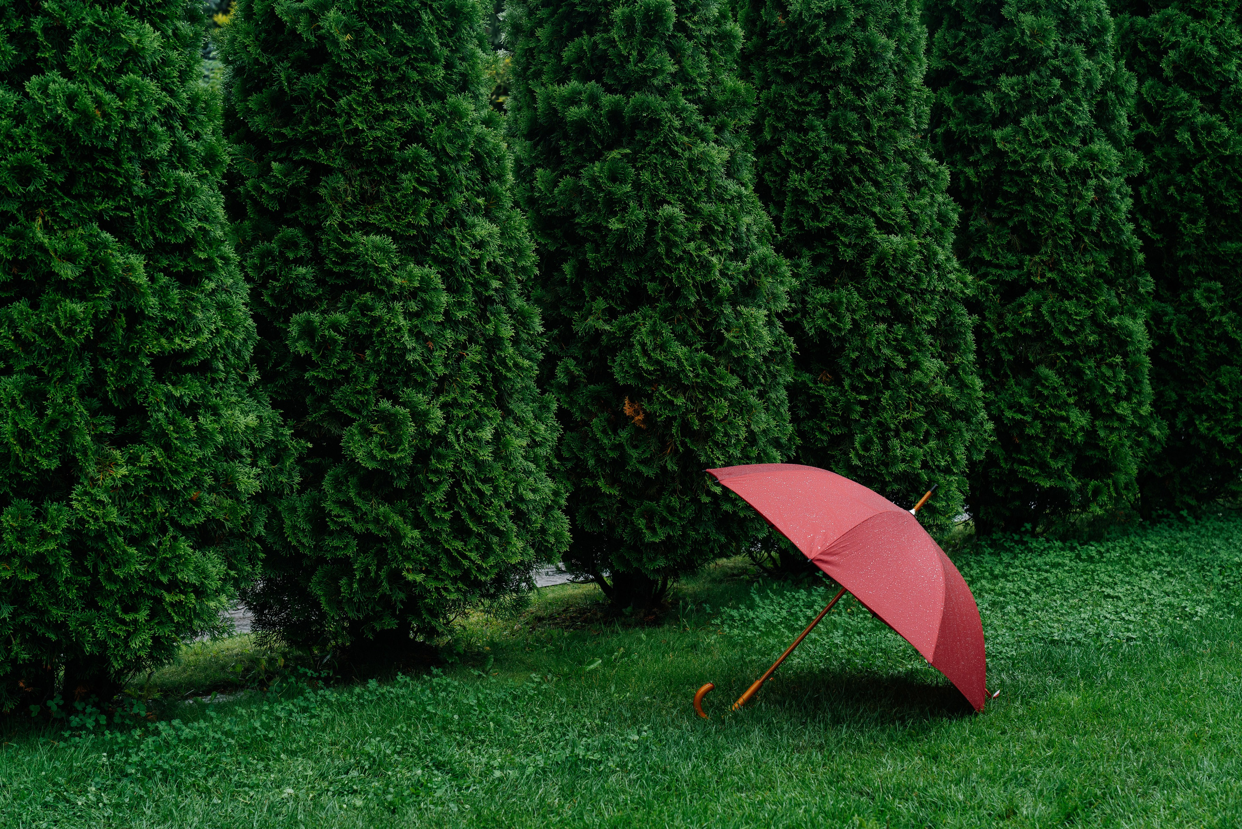 Свадьба Артем и Мария. Свадебный фотограф в Москве и по всему Миру Андрей Медведников