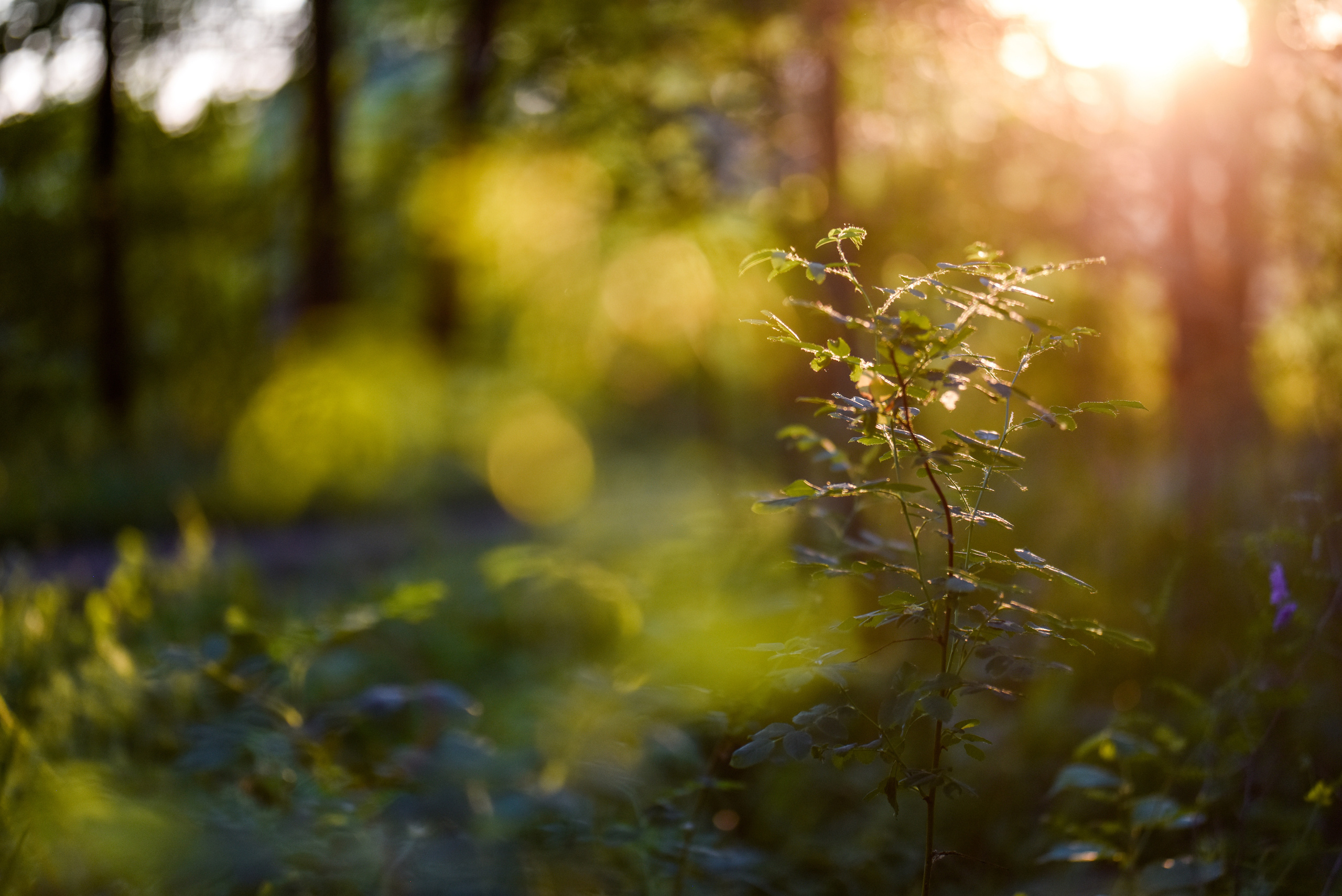 Семейный фотограф в Самаре Мария Компаниец