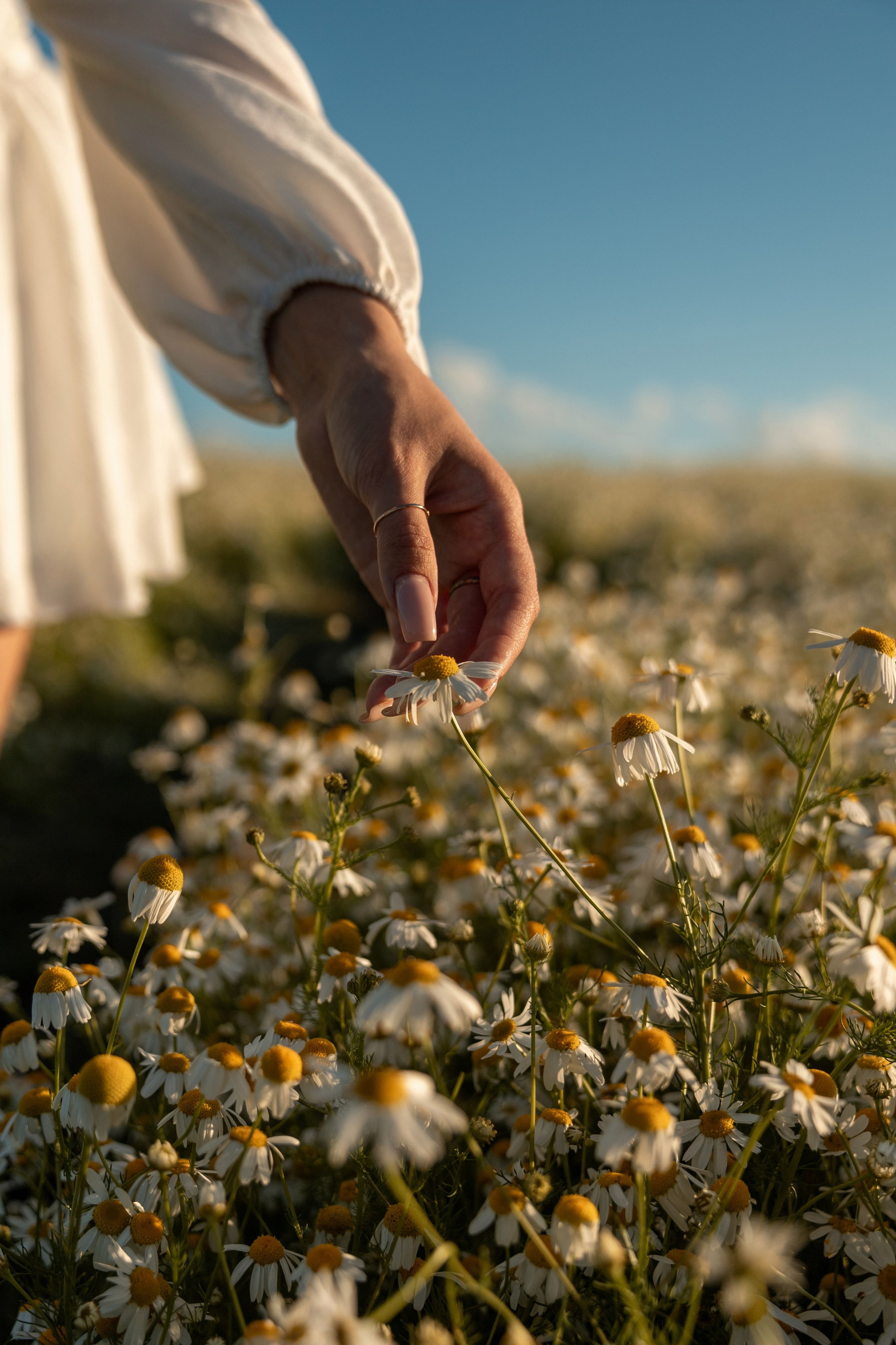 Индивидуальные. Свадебный фотограф Наталья Менько Санкт-Петербург
