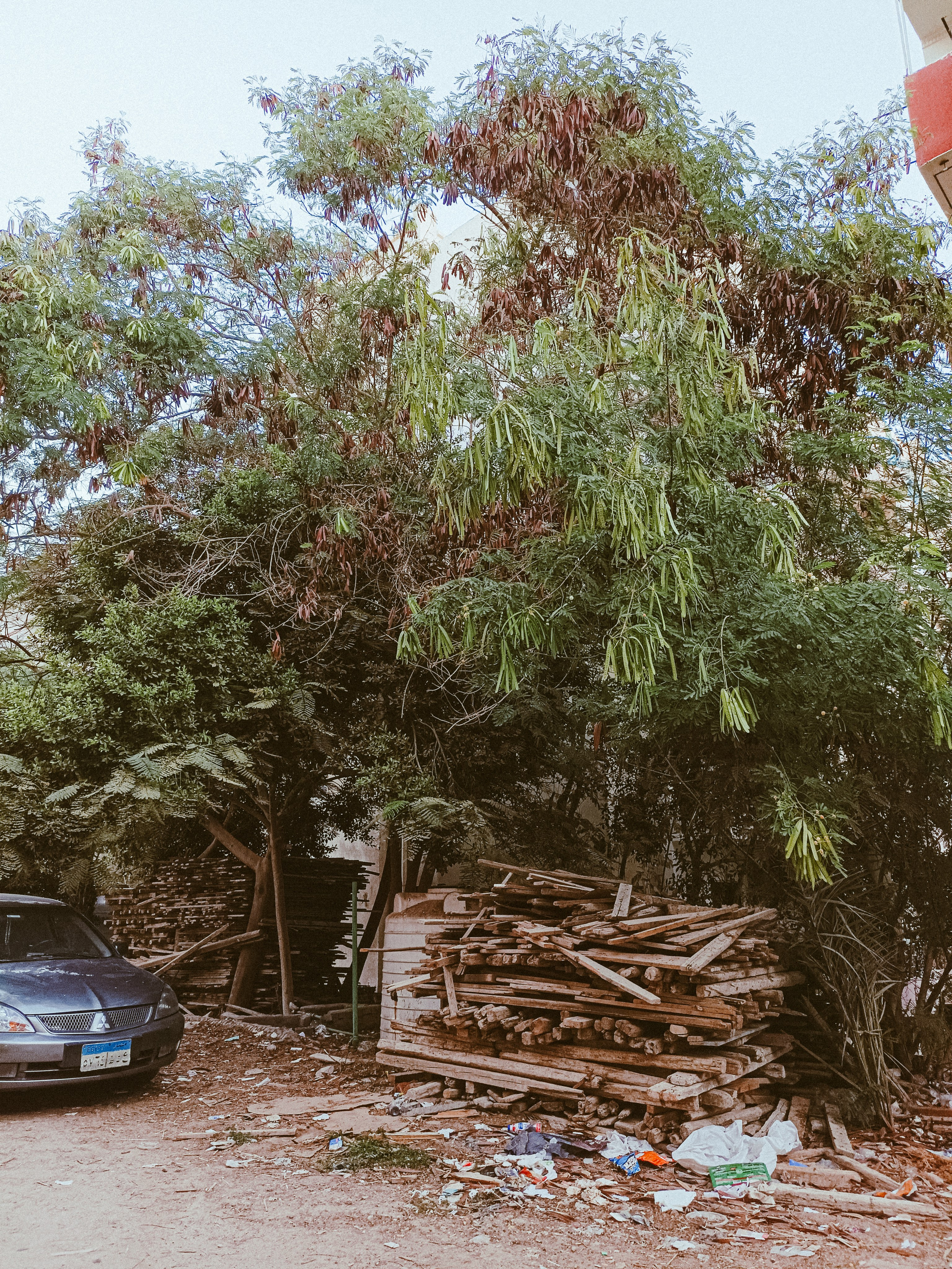 Мобильная. Jorgis — фотограф в Хургаде / обучение фотографии