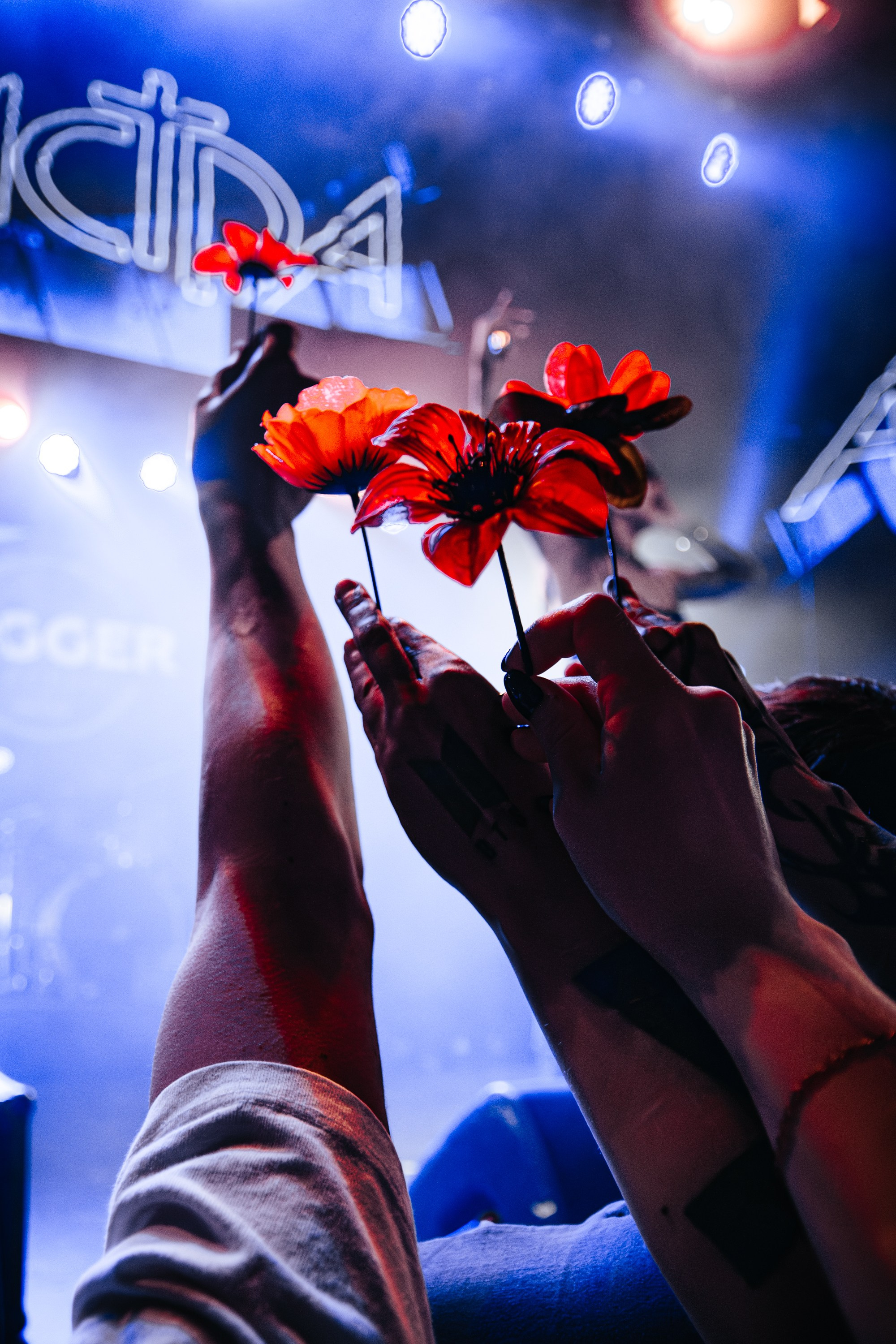 Астра | Санкт-Петербург, JAGGER | апрель'26. Концертный фотограф в Санкт-Петербурге | Анастасия Колупаева