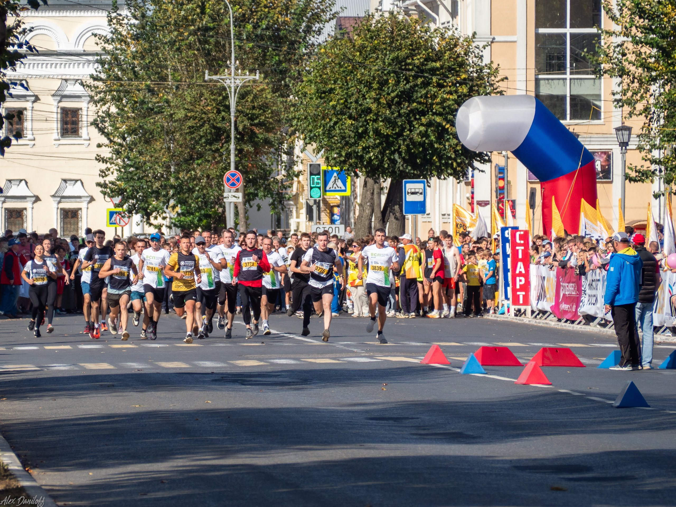 Кросс нации 2024. Муром-Инфо. Новости культуры, образования, спорта в городе Муром