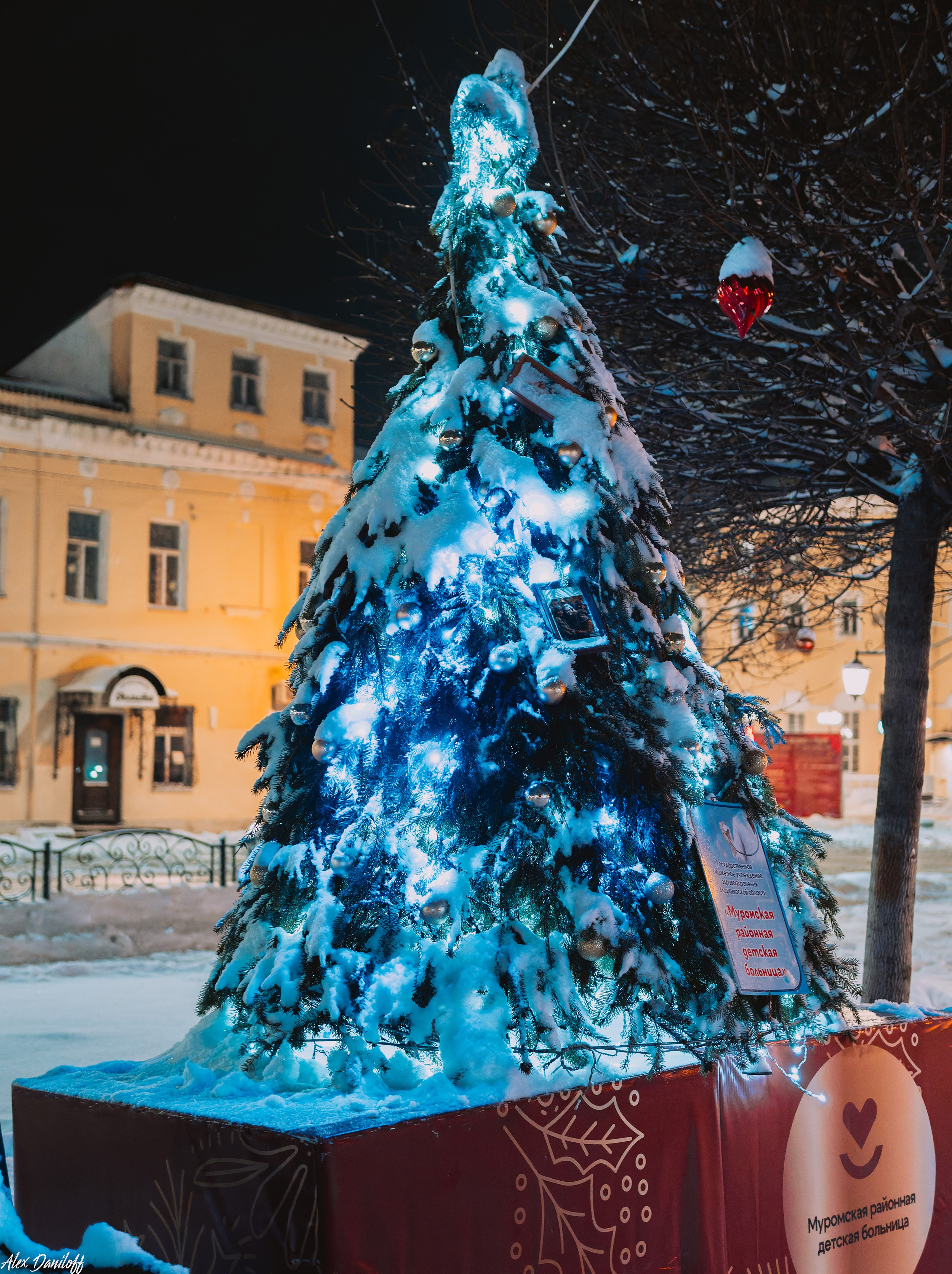 Елки 2025. Муром-Инфо. Новости культуры, образования, спорта в городе Муром