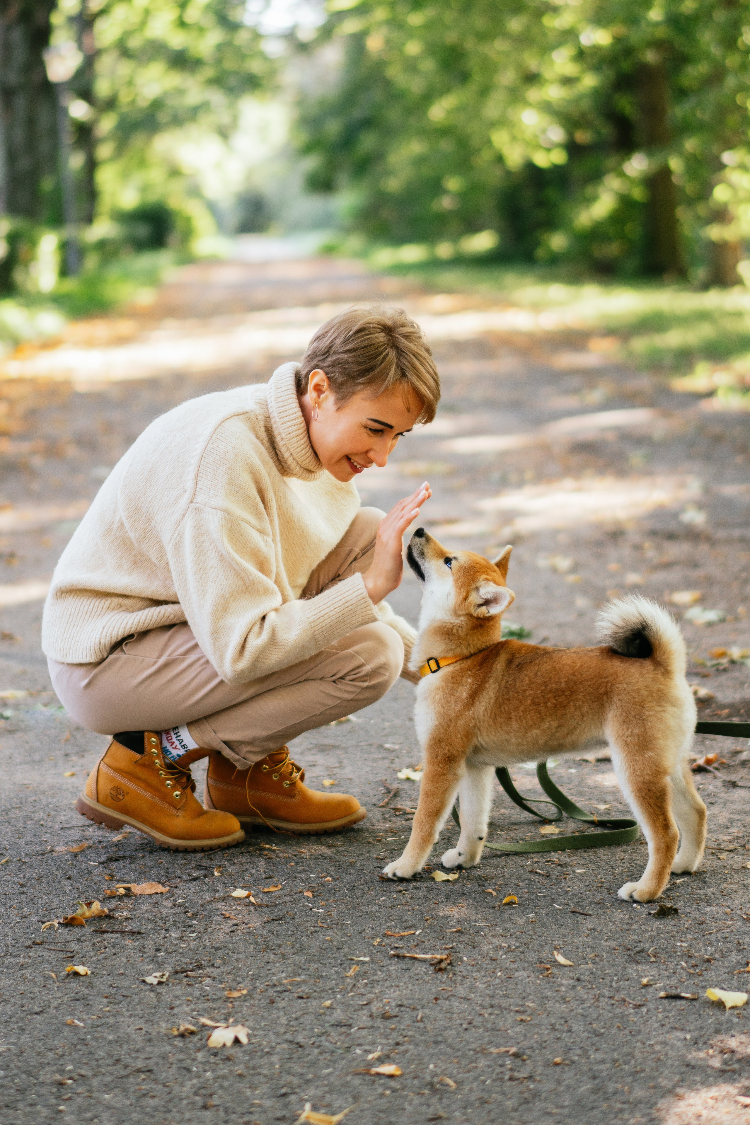 Любимые питомцы. Живые снимки! Фотограф Даша Бендер
