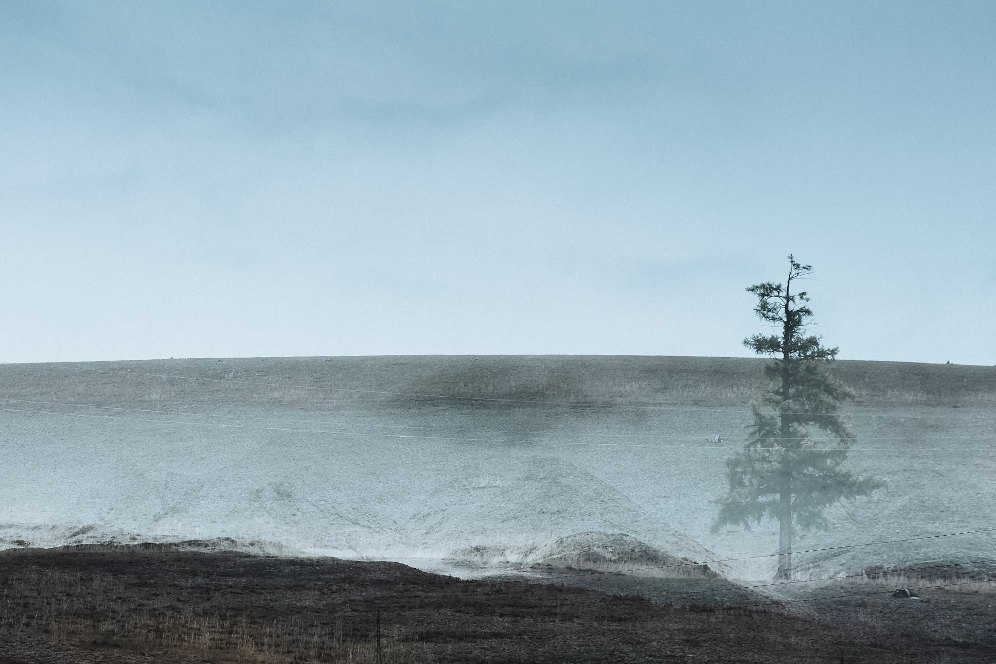 Алтай (мобилография). Фотограф в Москве, в Самаре Инна Мамонова