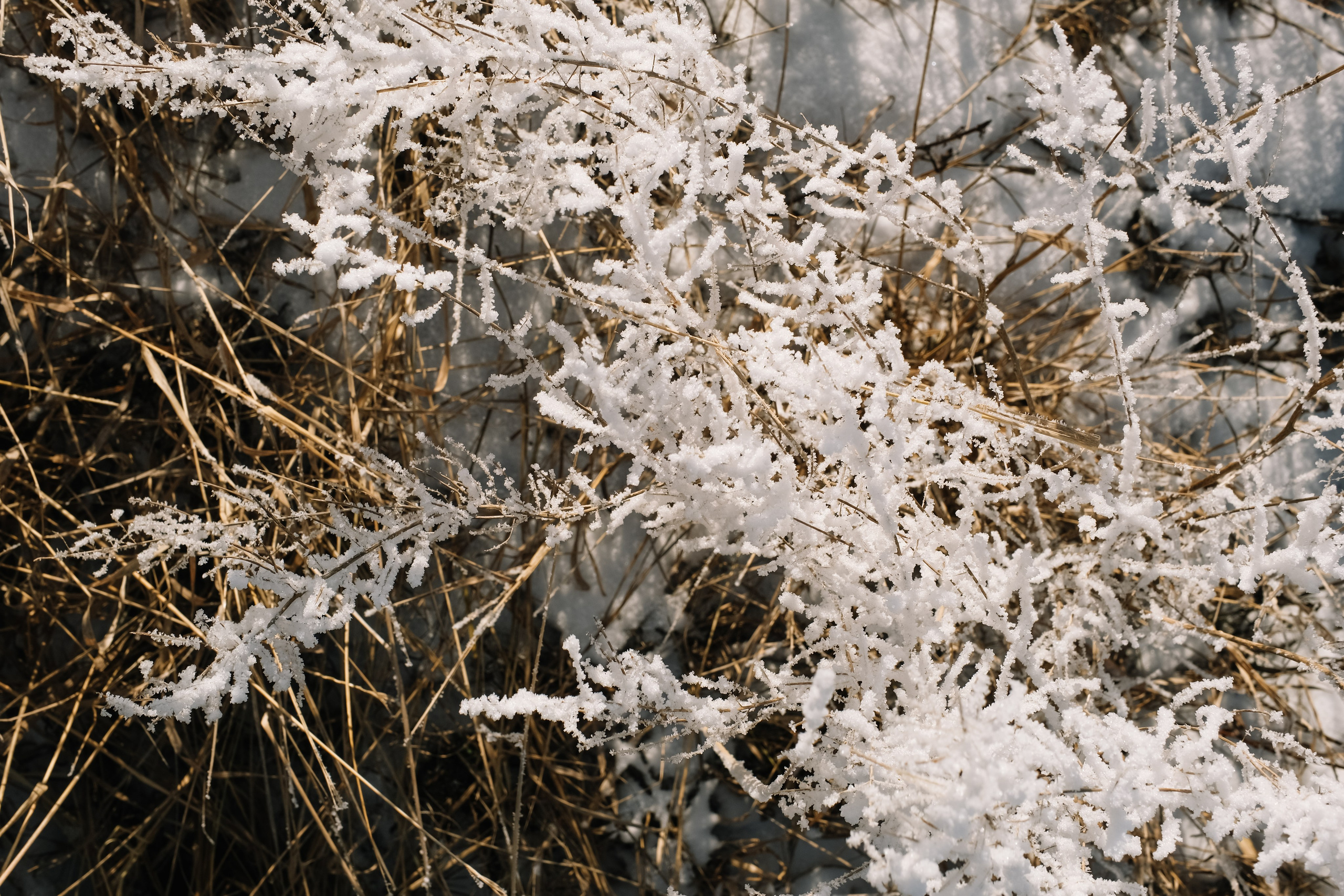 Девушка февраль. Привет! Меня зовут Дарья и я фотограф/видеограф из Ульяновска
