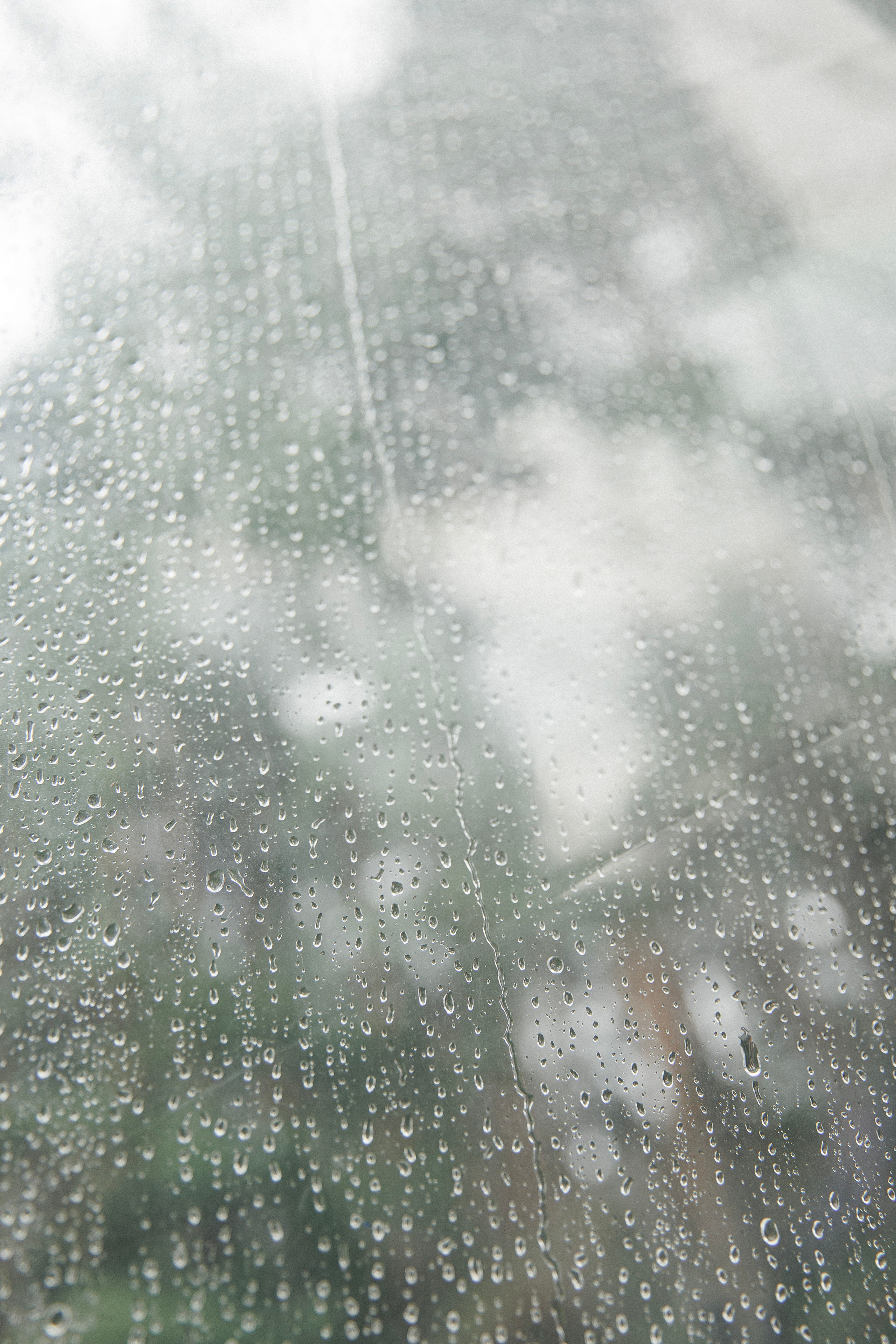 К&O. Фотограф в Новосибирске и Москве