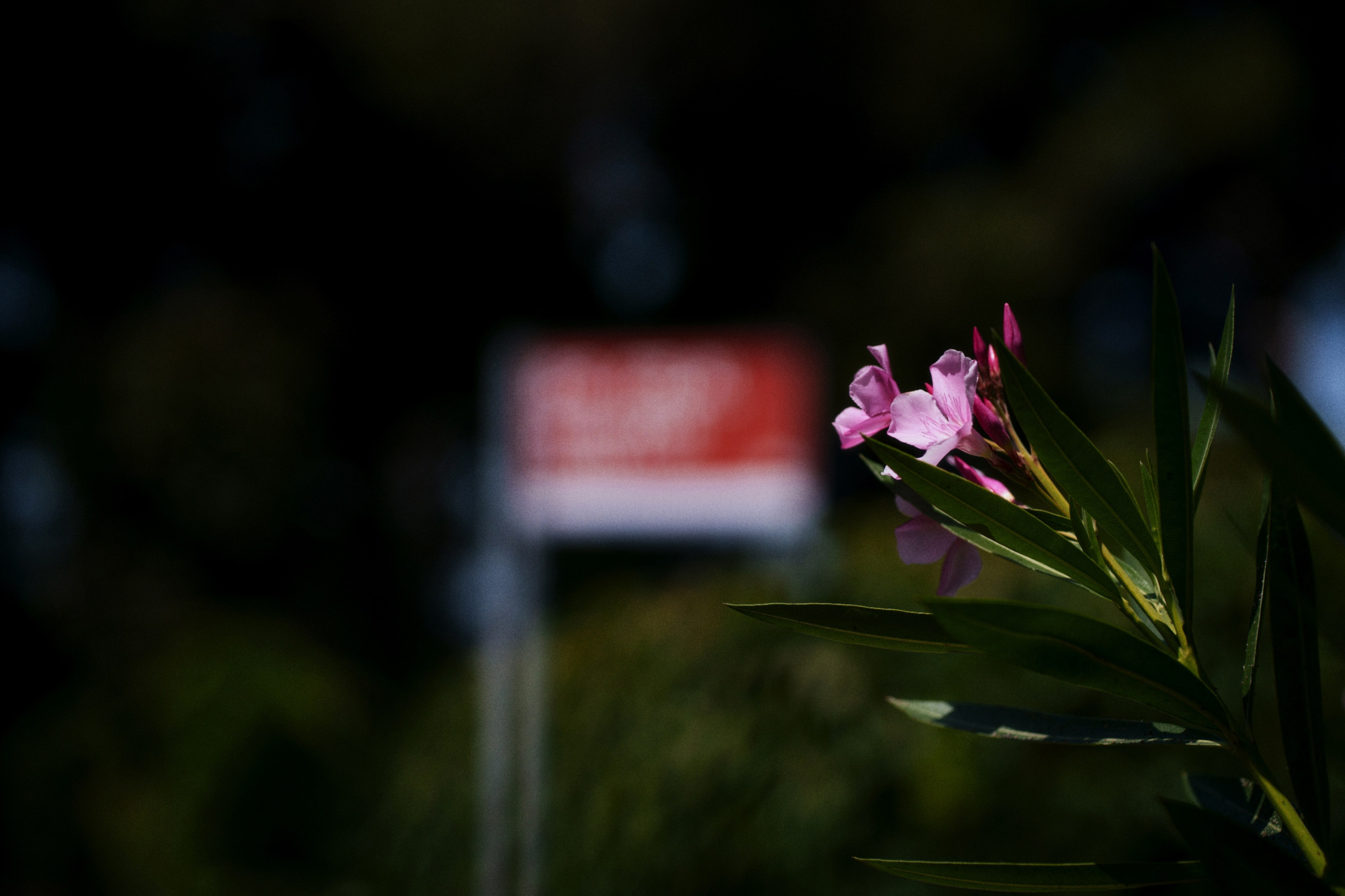 Büyükada х Heybeliada, Istanbul / Türkey SS25. Фотограф Юрин Евгений