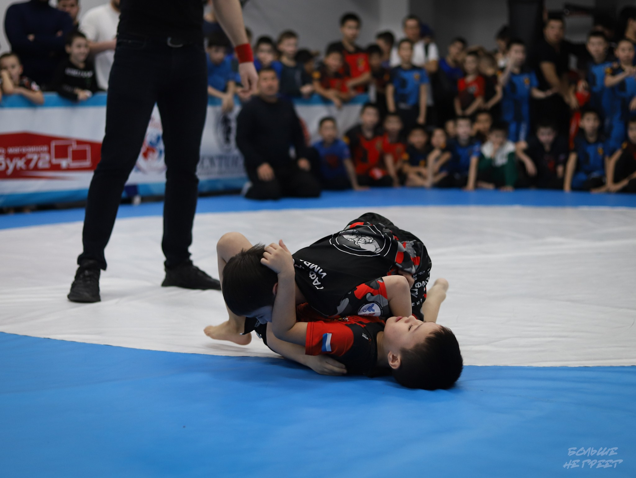 GORILLA PRIDE CUP. Больше не греет