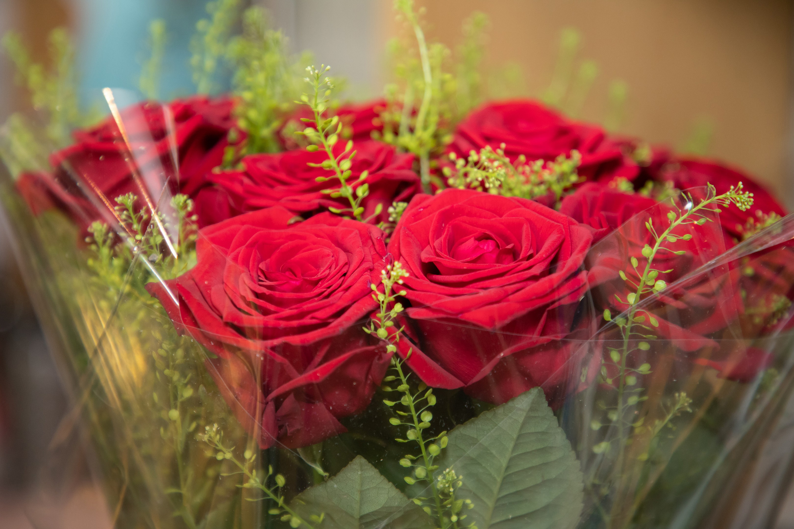 День рождения