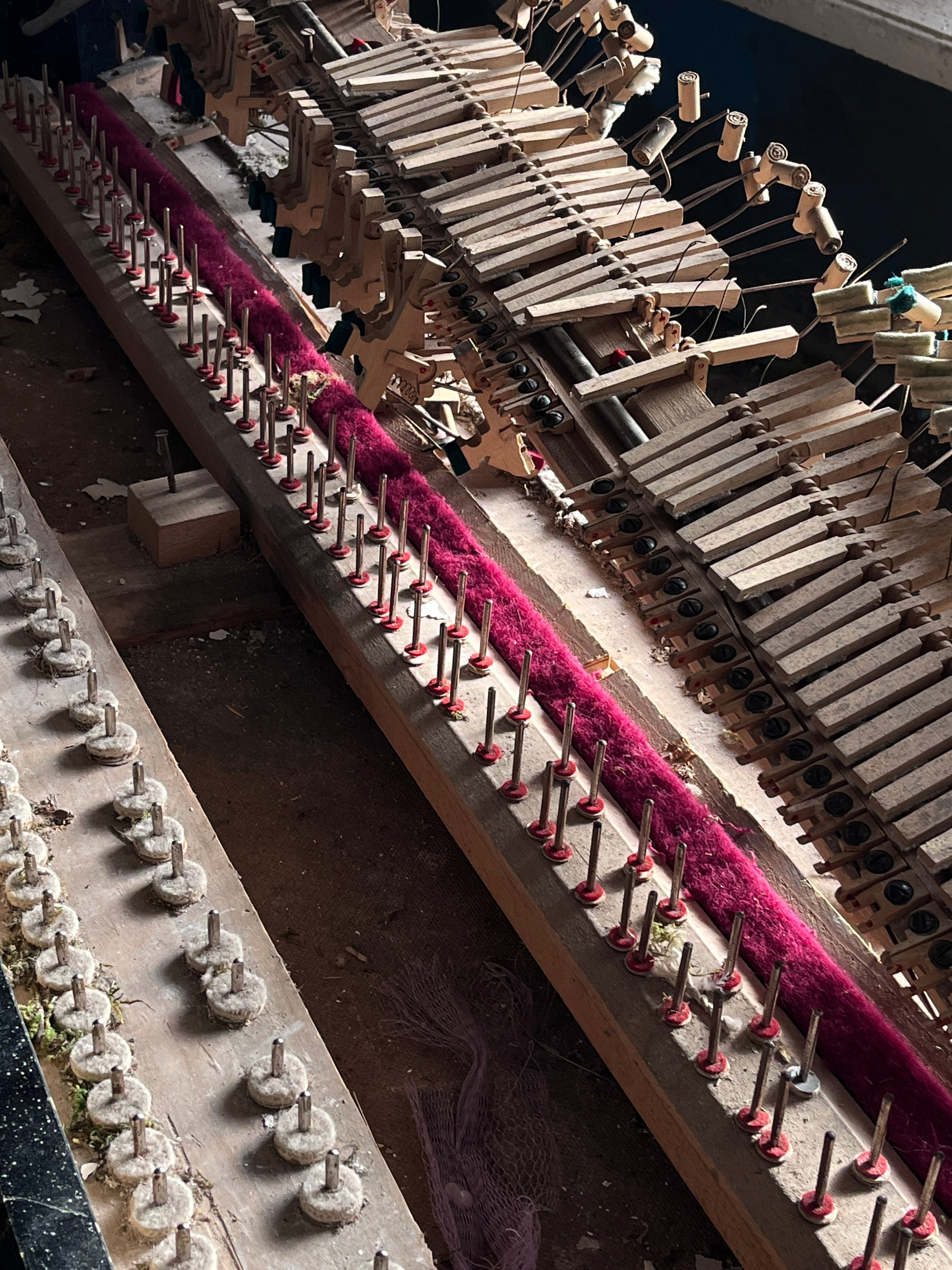 Сказка, 2022. Портретный фотограф в Москве Евгения Яковенко